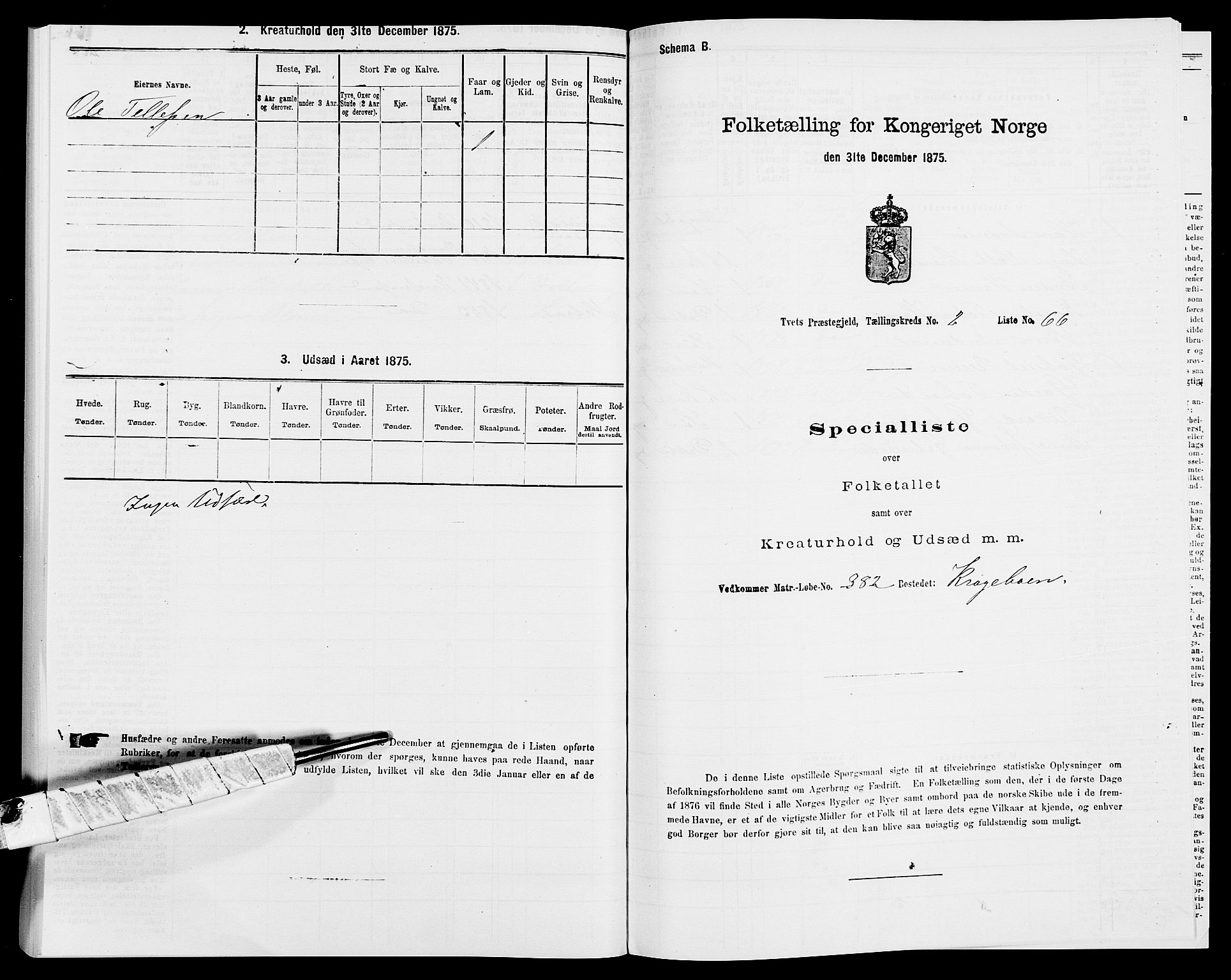 SAK, 1875 census for 1013P Tveit, 1875, p. 305