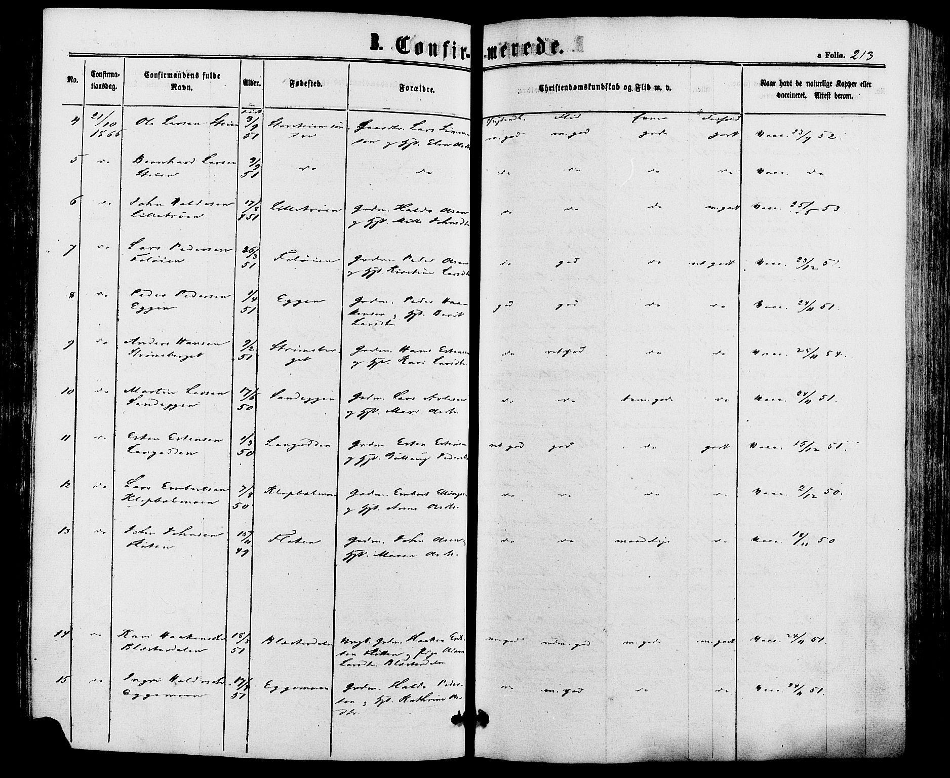 Alvdal prestekontor, AV/SAH-PREST-060/H/Ha/Haa/L0001: Parish register (official) no. 1, 1863-1882, p. 213