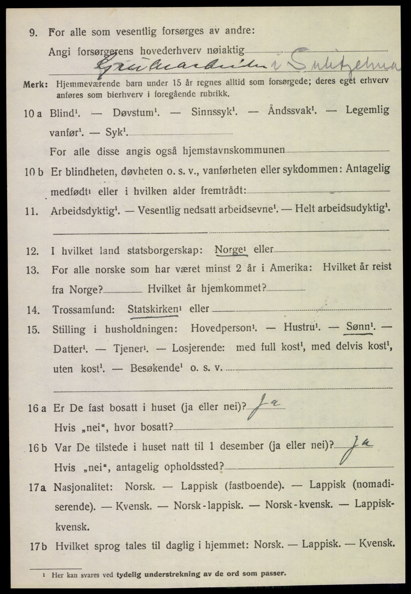 SAT, 1920 census for Fauske, 1920, p. 14153