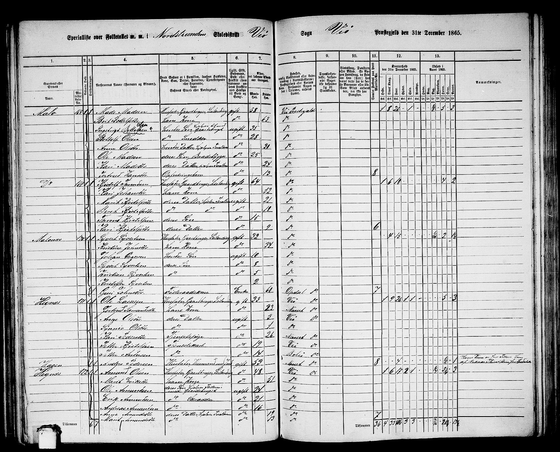 RA, 1865 census for Veøy, 1865, p. 17