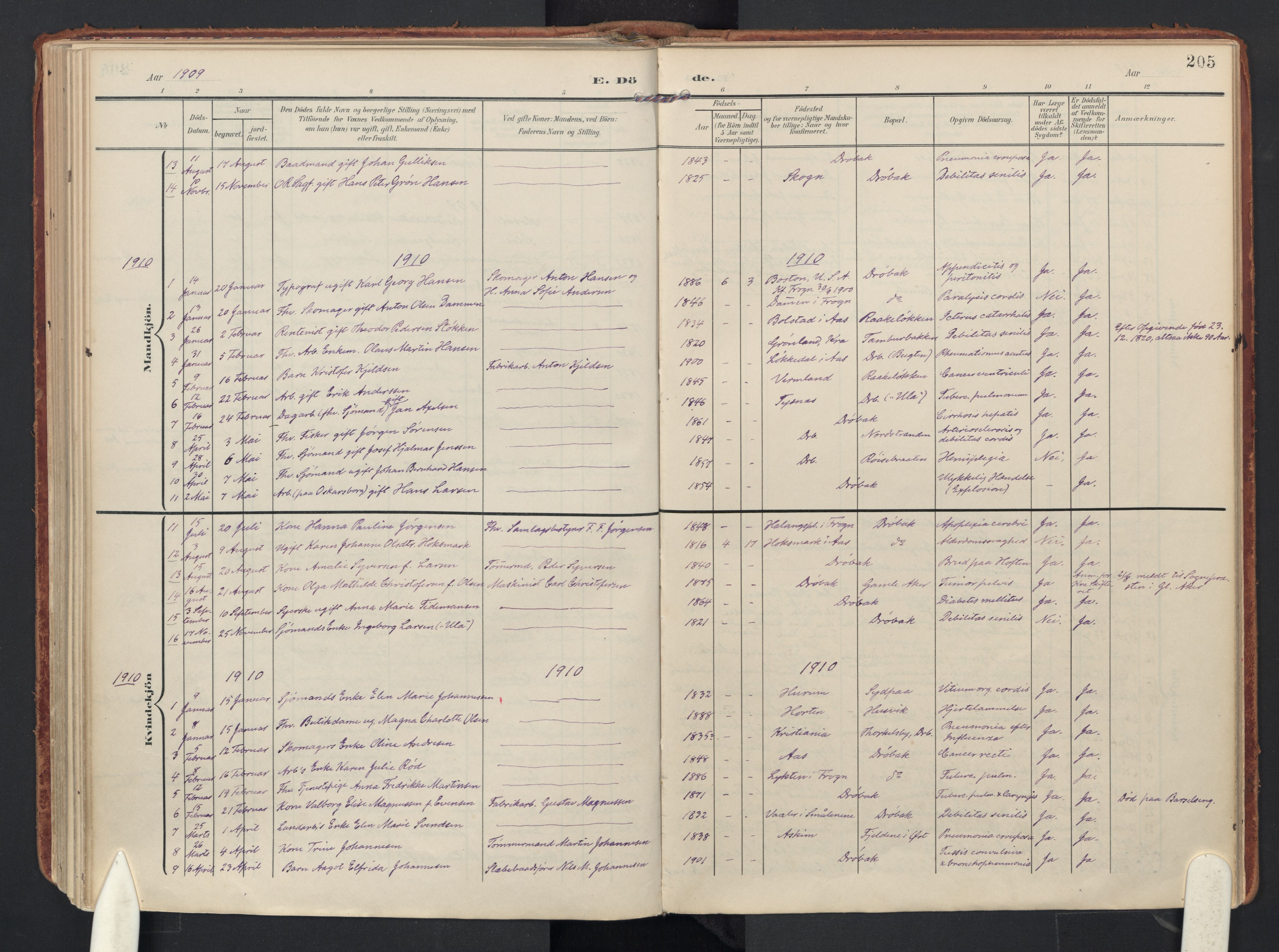 Drøbak prestekontor Kirkebøker, SAO/A-10142a/F/Fb/L0003: Parish register (official) no. II 3, 1897-1918, p. 205