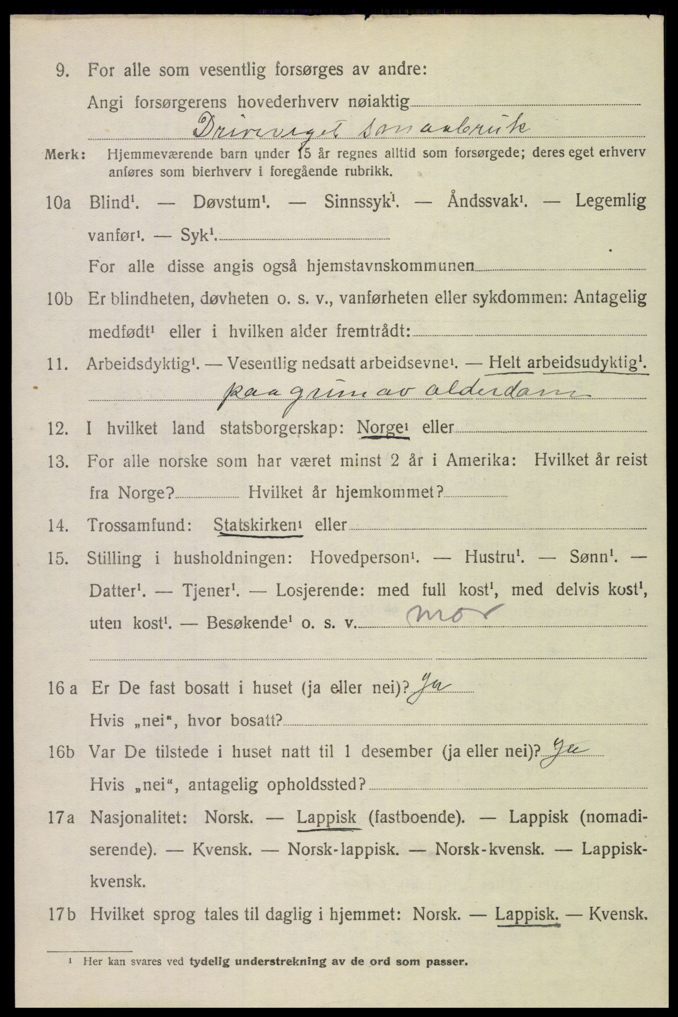 SAT, 1920 census for Bodin, 1920, p. 9305