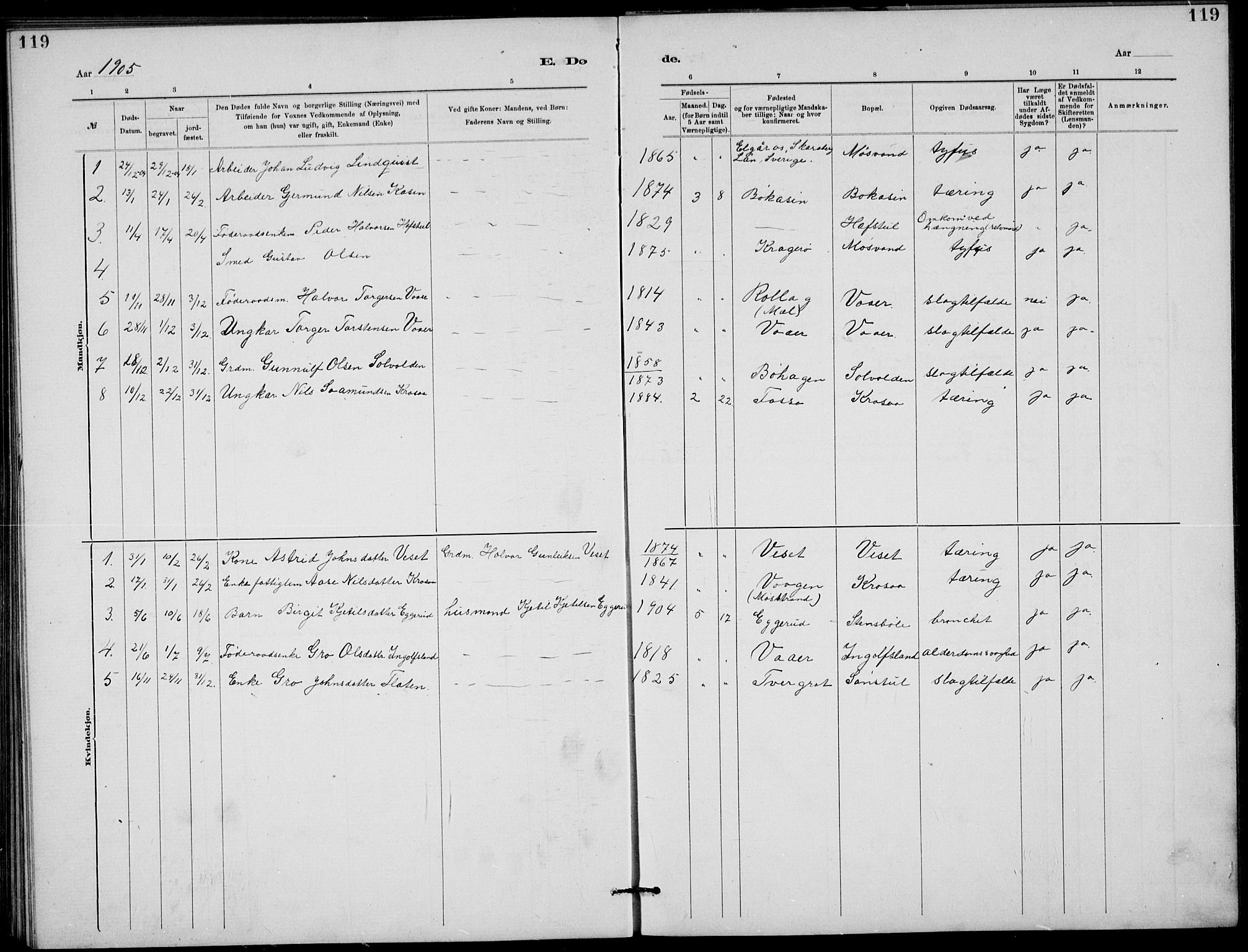 Rjukan kirkebøker, SAKO/A-294/G/Ga/L0001: Parish register (copy) no. 1, 1880-1914, p. 119