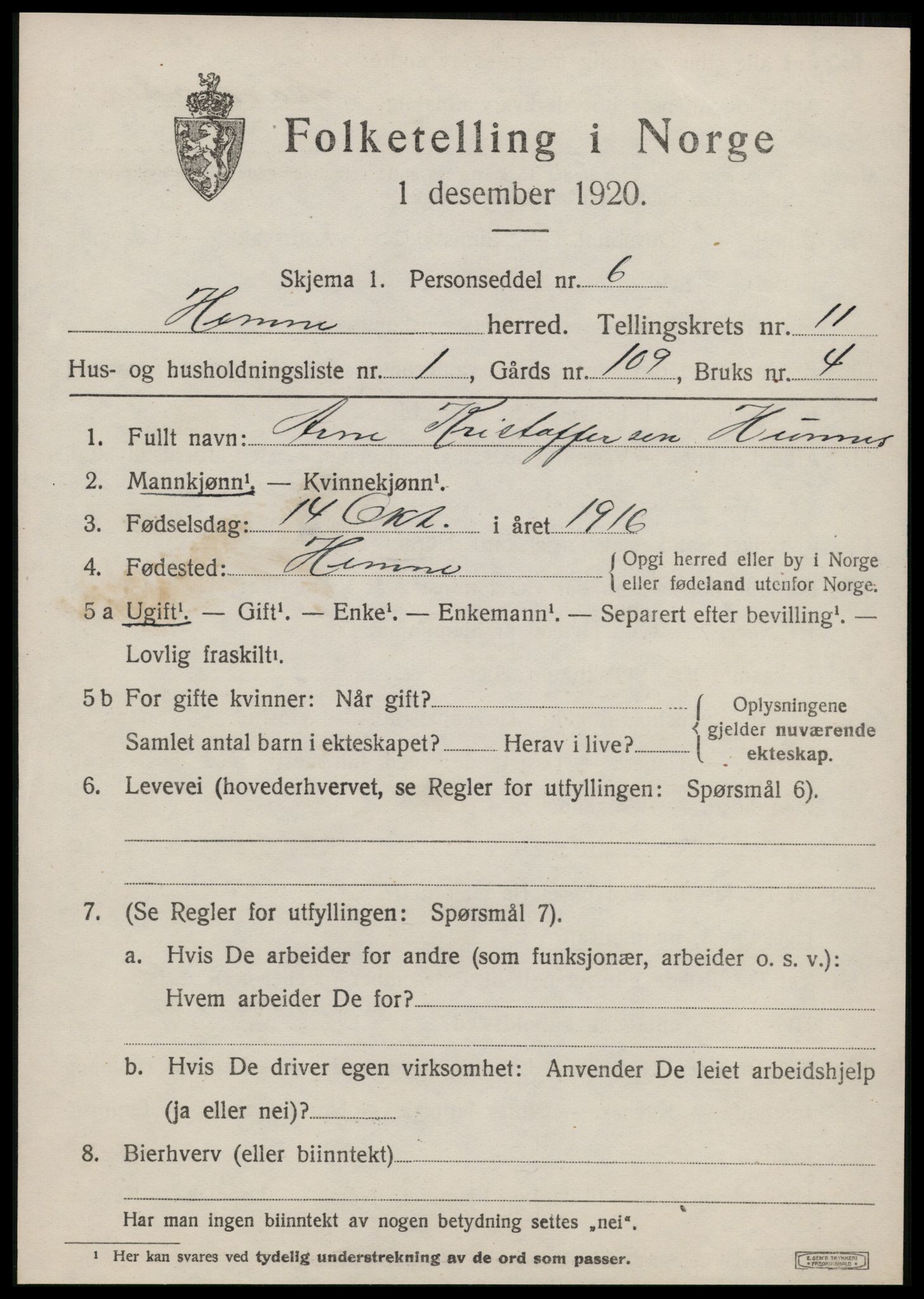 SAT, 1920 census for Hemne, 1920, p. 6516