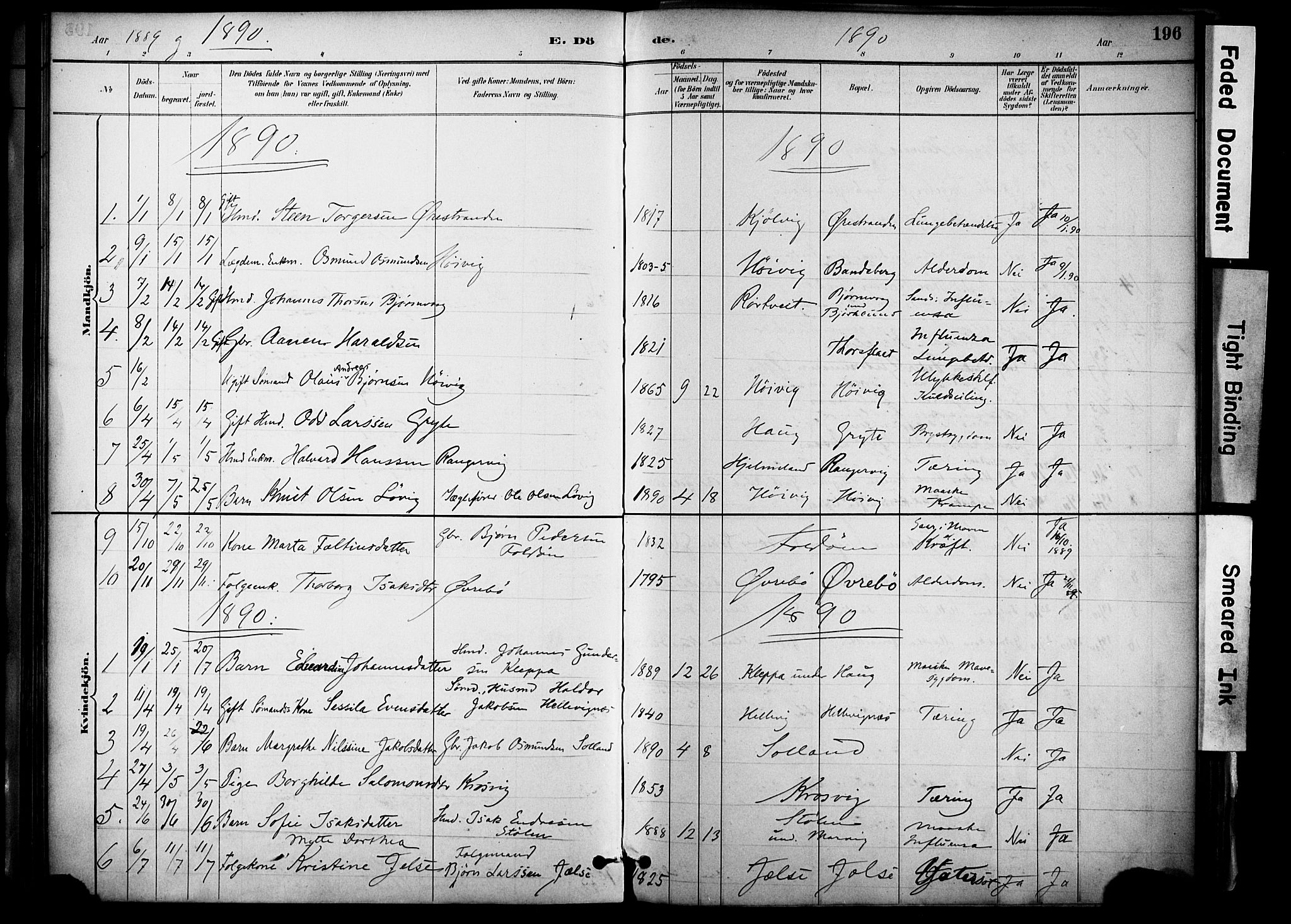 Jelsa sokneprestkontor, SAST/A-101842/01/IV: Parish register (official) no. A 10, 1884-1906, p. 196