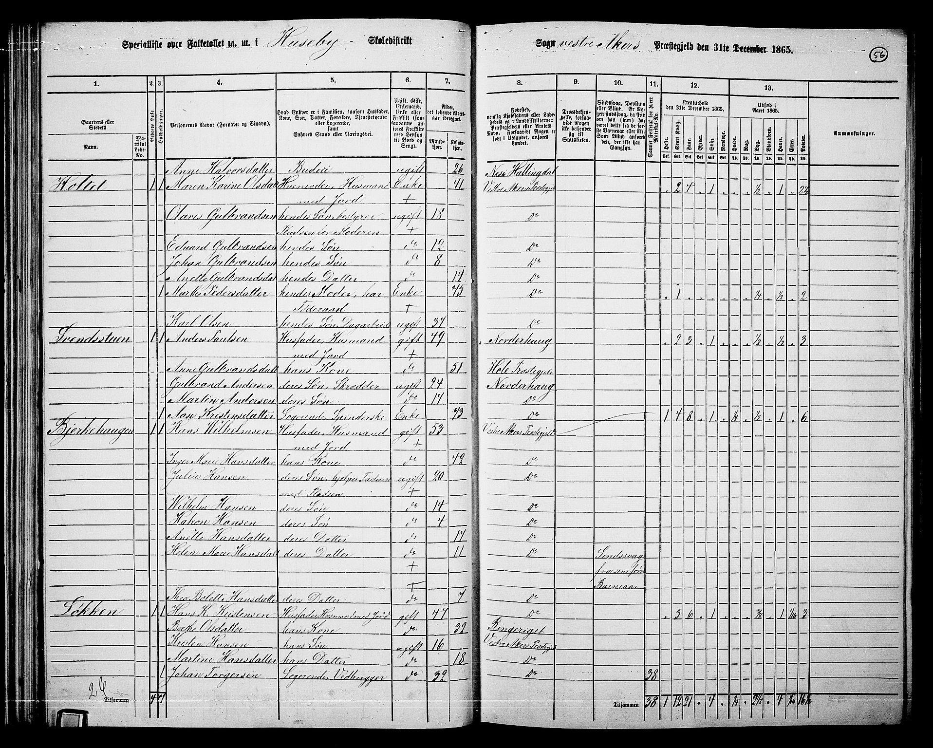 RA, 1865 census for Vestre Aker, 1865, p. 229