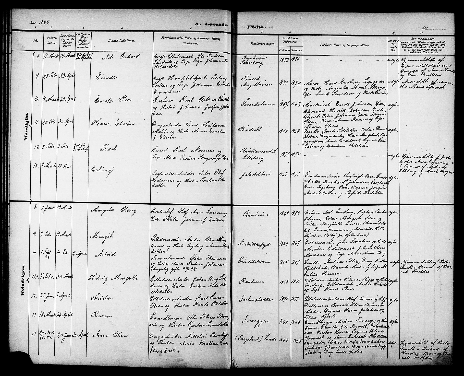 Ministerialprotokoller, klokkerbøker og fødselsregistre - Sør-Trøndelag, AV/SAT-A-1456/606/L0313: Parish register (copy) no. 606C09, 1895-1910