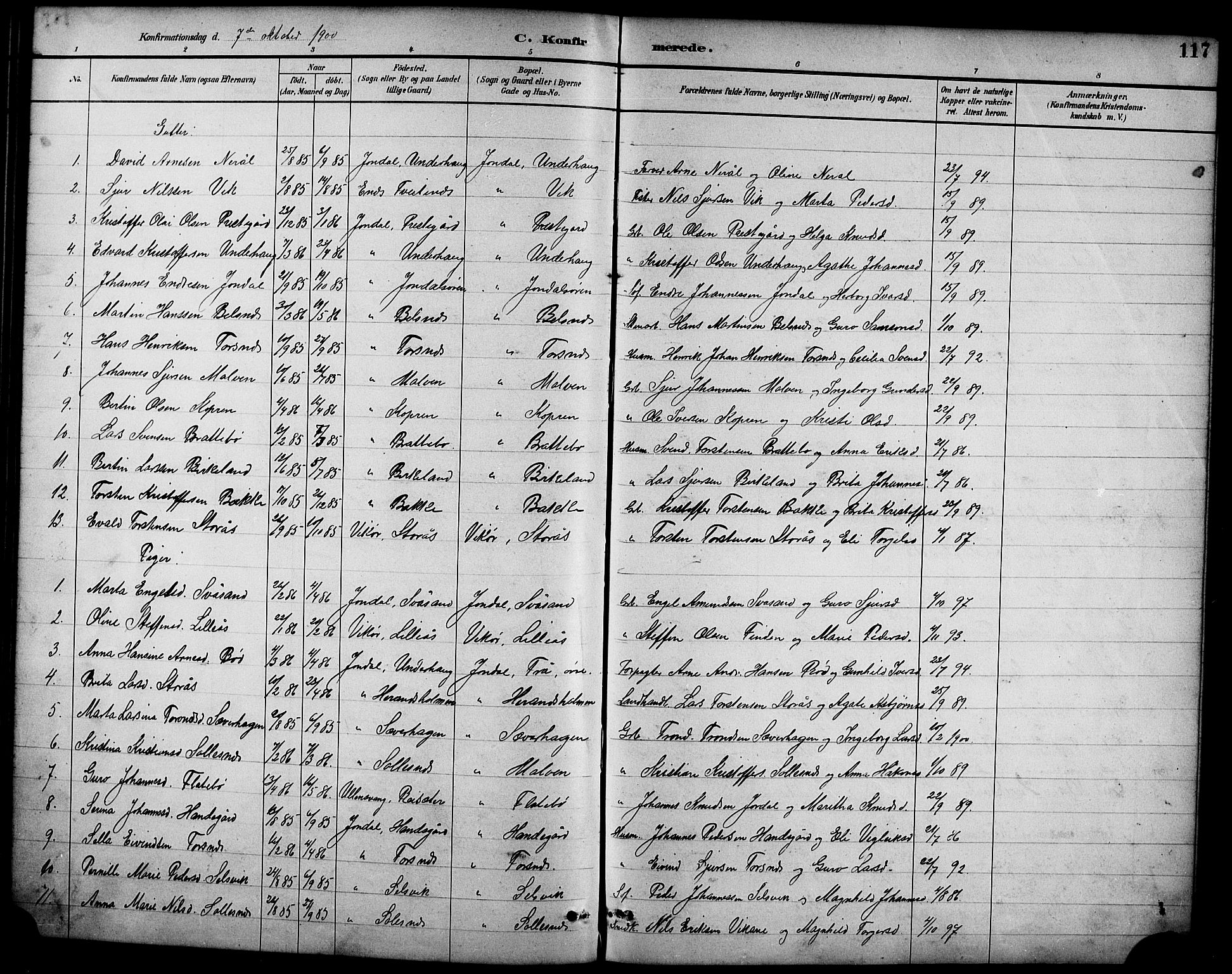 Ullensvang sokneprestembete, AV/SAB-A-78701/H/Hab: Parish register (copy) no. D 1, 1891-1908, p. 117