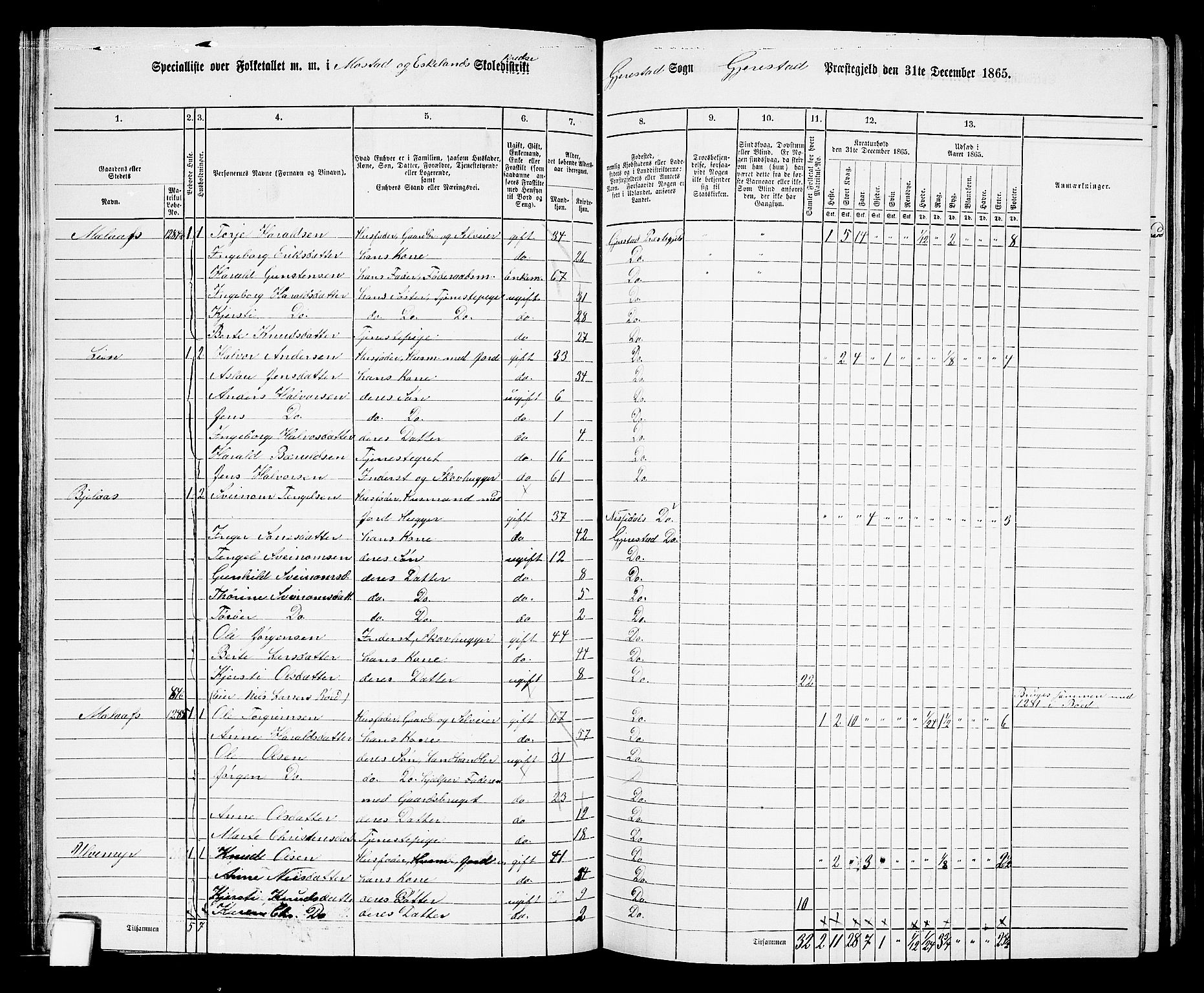 RA, 1865 census for Gjerstad, 1865, p. 66