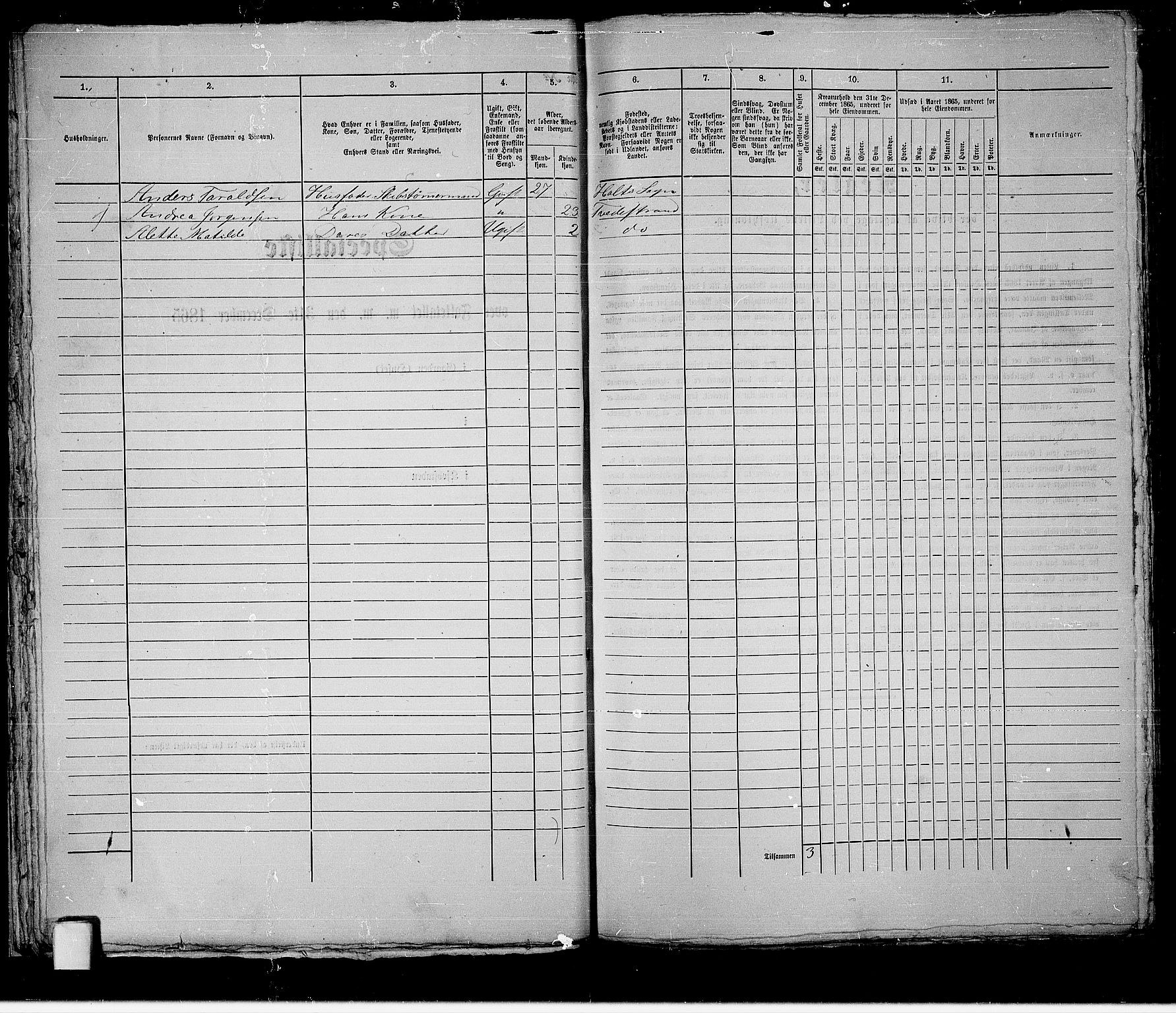 RA, 1865 census for Holt/Tvedestrand, 1865, p. 42