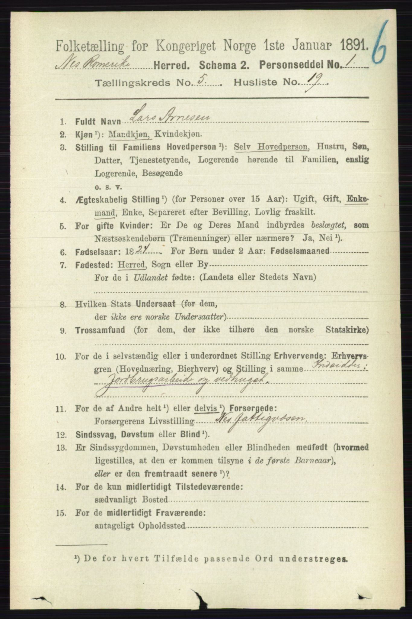 RA, 1891 census for 0236 Nes, 1891, p. 2894