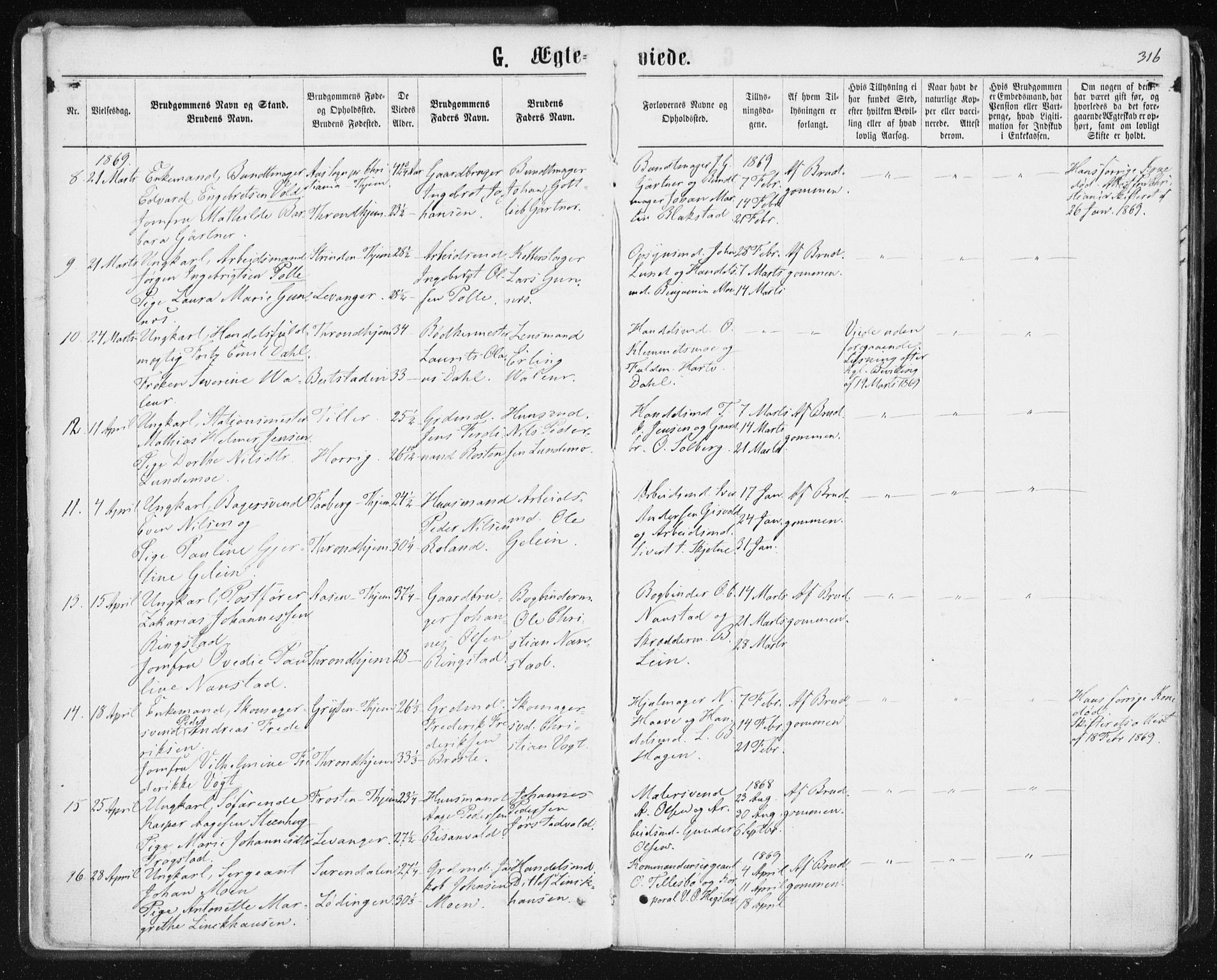 Ministerialprotokoller, klokkerbøker og fødselsregistre - Sør-Trøndelag, SAT/A-1456/601/L0055: Parish register (official) no. 601A23, 1866-1877, p. 316