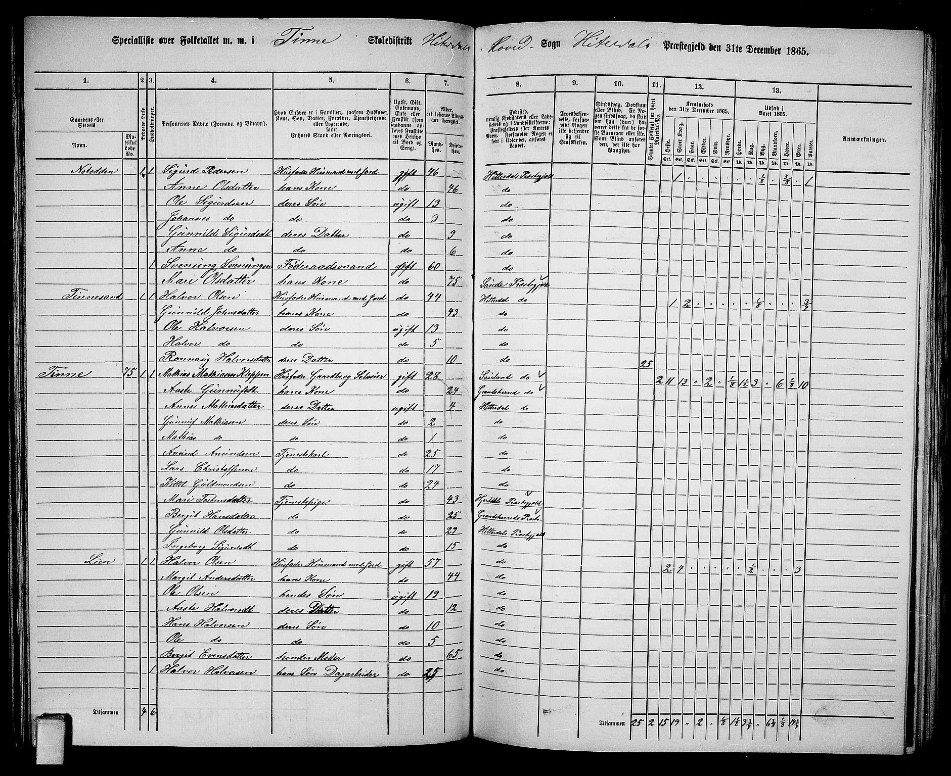 RA, 1865 census for Heddal, 1865, p. 72