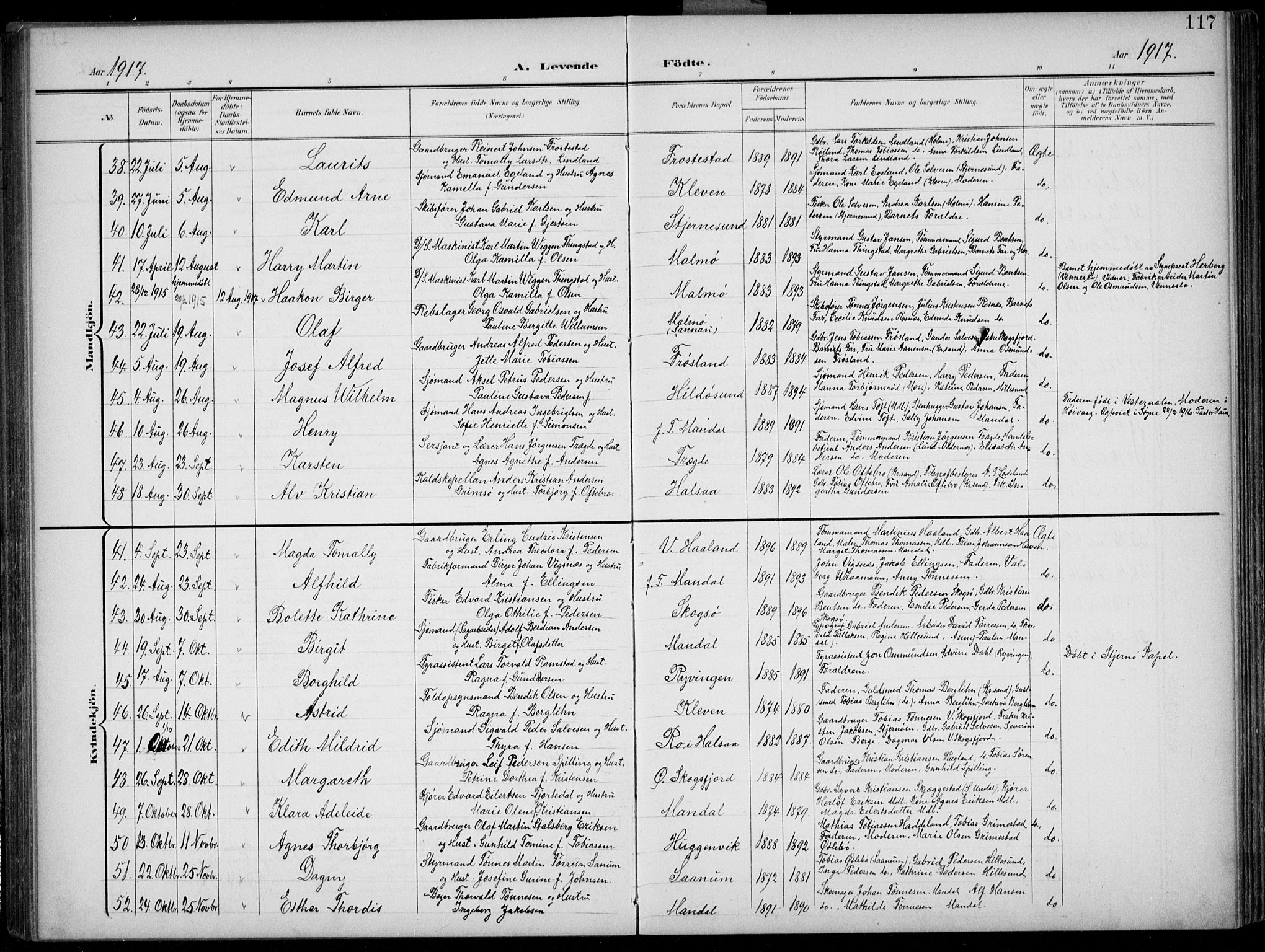 Mandal sokneprestkontor, AV/SAK-1111-0030/F/Fb/Fba/L0012: Parish register (copy) no. B 6, 1899-1918, p. 117