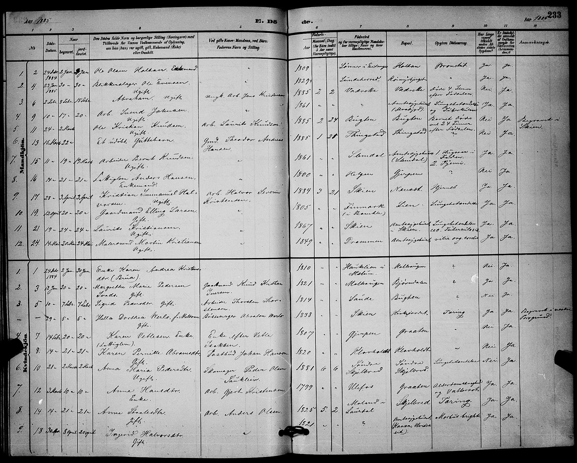 Solum kirkebøker, SAKO/A-306/G/Ga/L0007: Parish register (copy) no. I 7, 1884-1898, p. 233