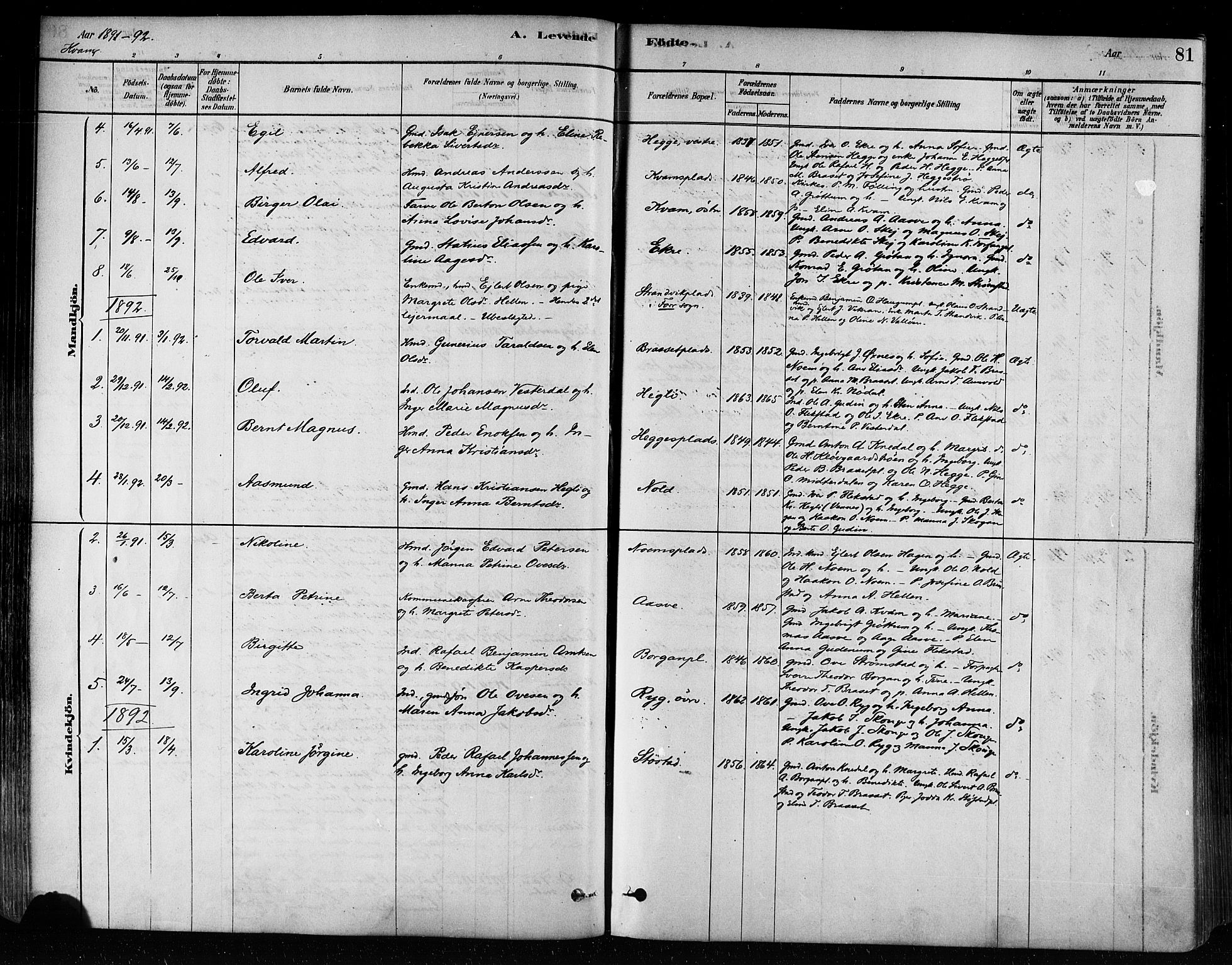 Ministerialprotokoller, klokkerbøker og fødselsregistre - Nord-Trøndelag, SAT/A-1458/746/L0449: Parish register (official) no. 746A07 /2, 1878-1899, p. 81