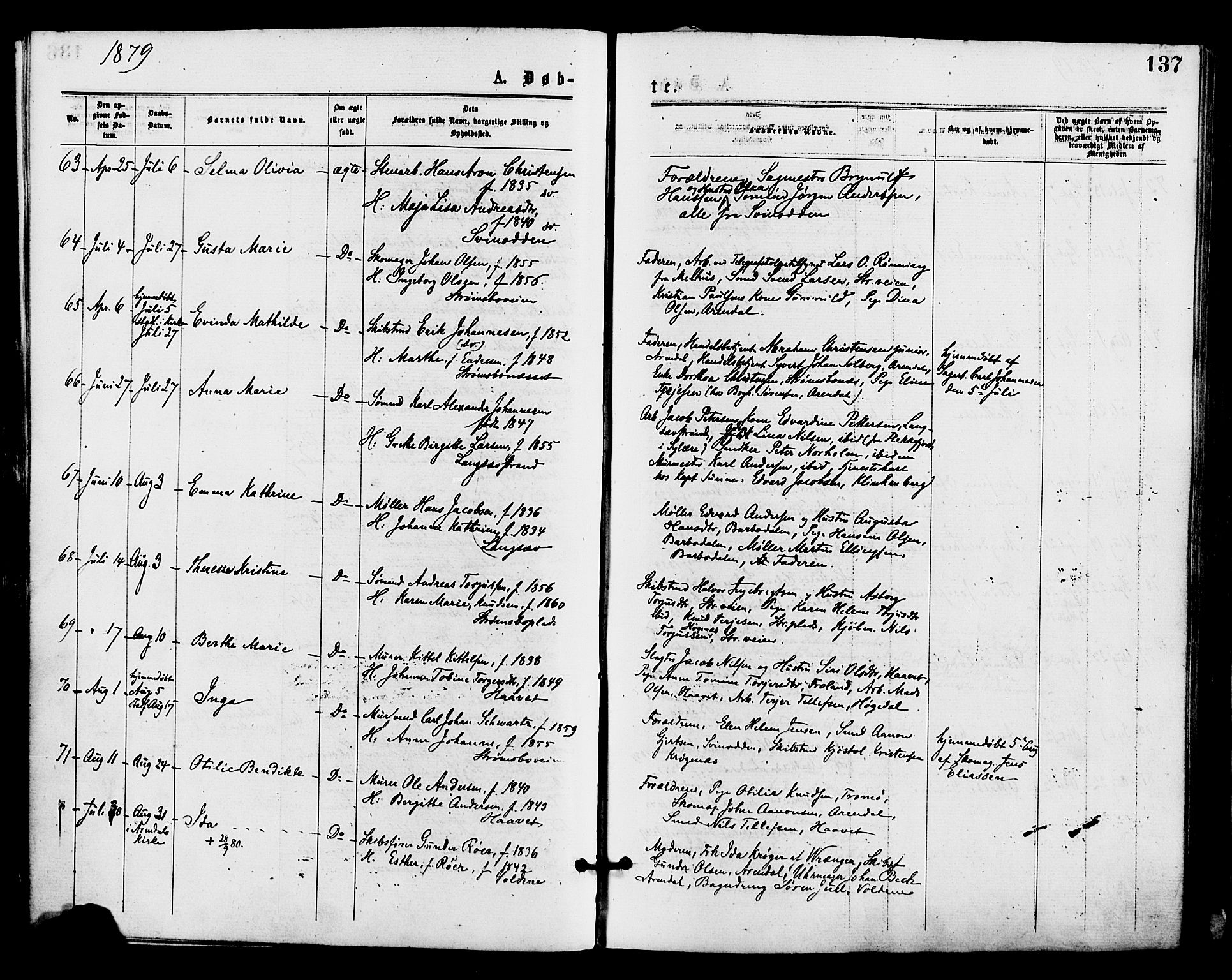 Barbu sokneprestkontor, AV/SAK-1111-0003/F/Fa/L0001: Parish register (official) no. A 1 /1, 1878-1883, p. 137