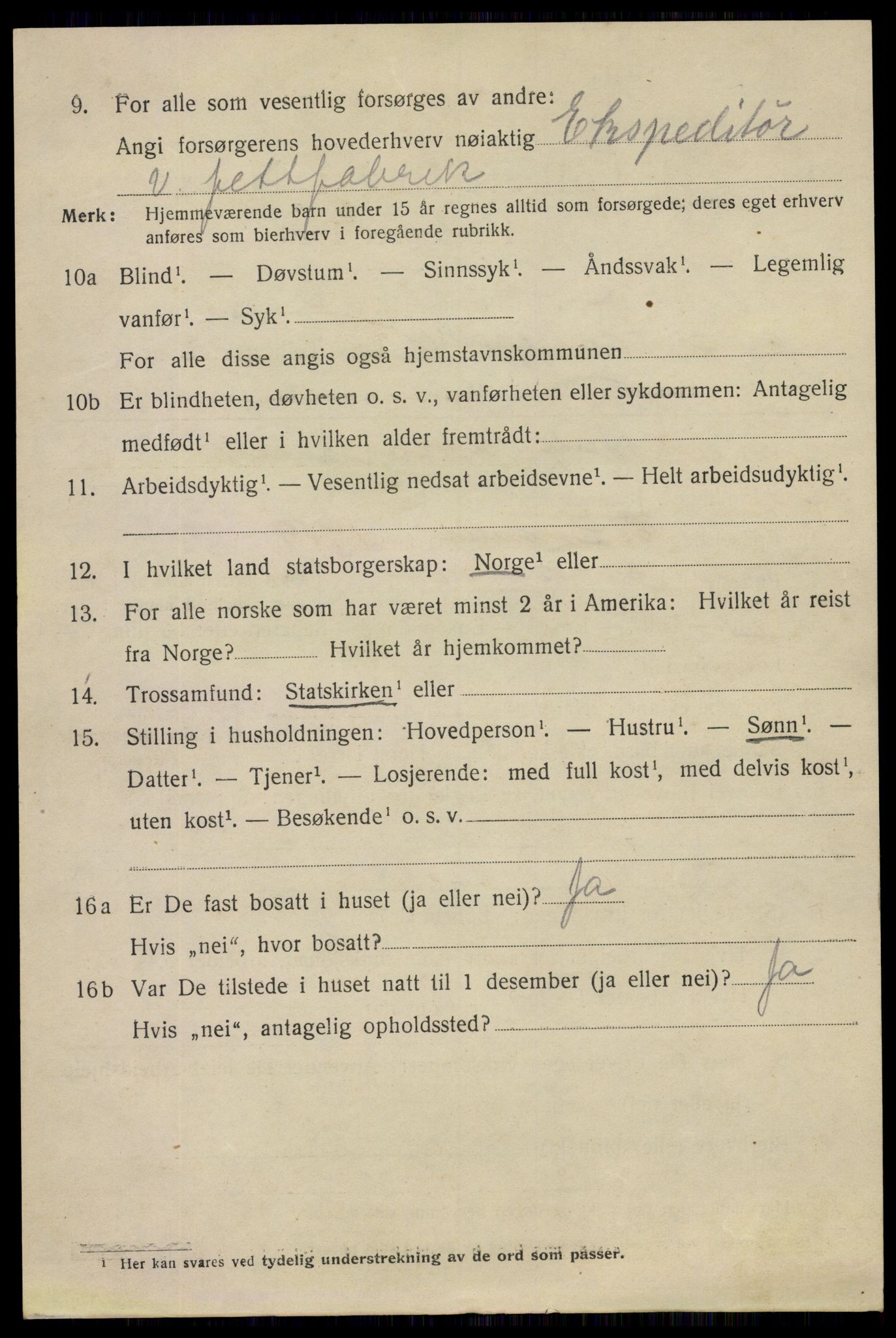 SAO, 1920 census for Fredrikstad, 1920, p. 11462