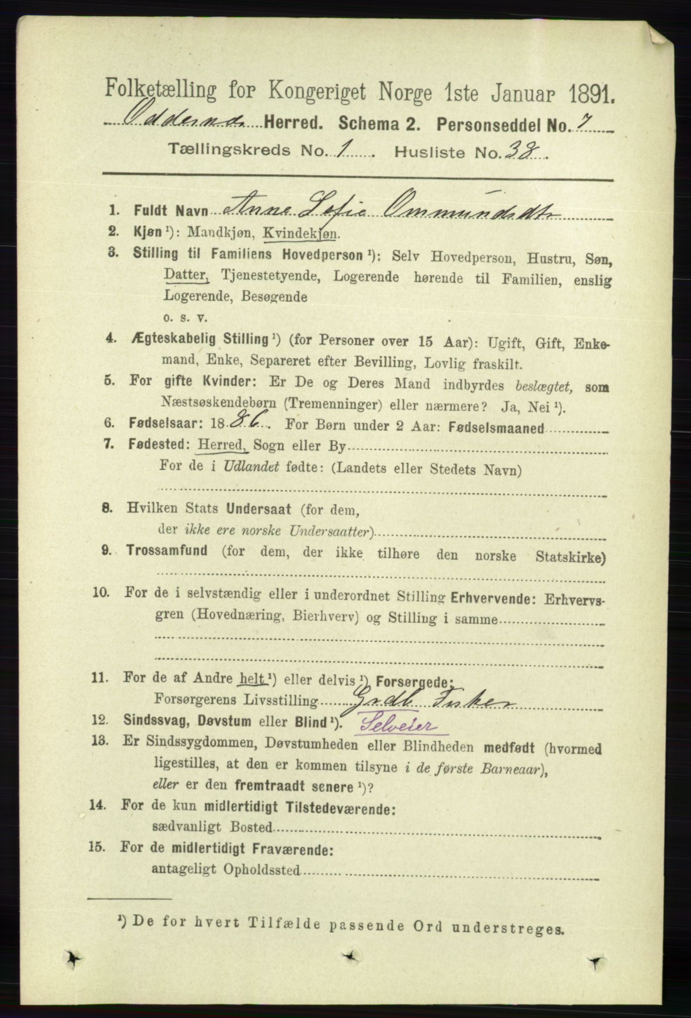 RA, 1891 census for 1012 Oddernes, 1891, p. 321