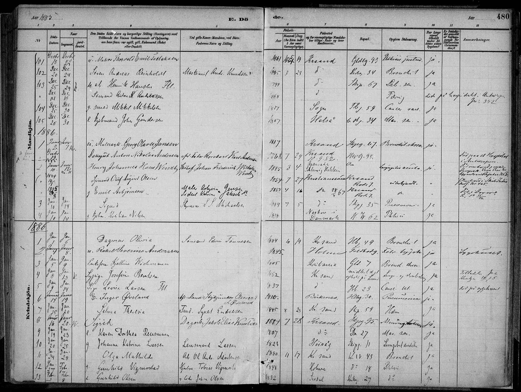 Kristiansand domprosti, SAK/1112-0006/F/Fa/L0017: Parish register (official) no. A 16B, 1880-1890, p. 480