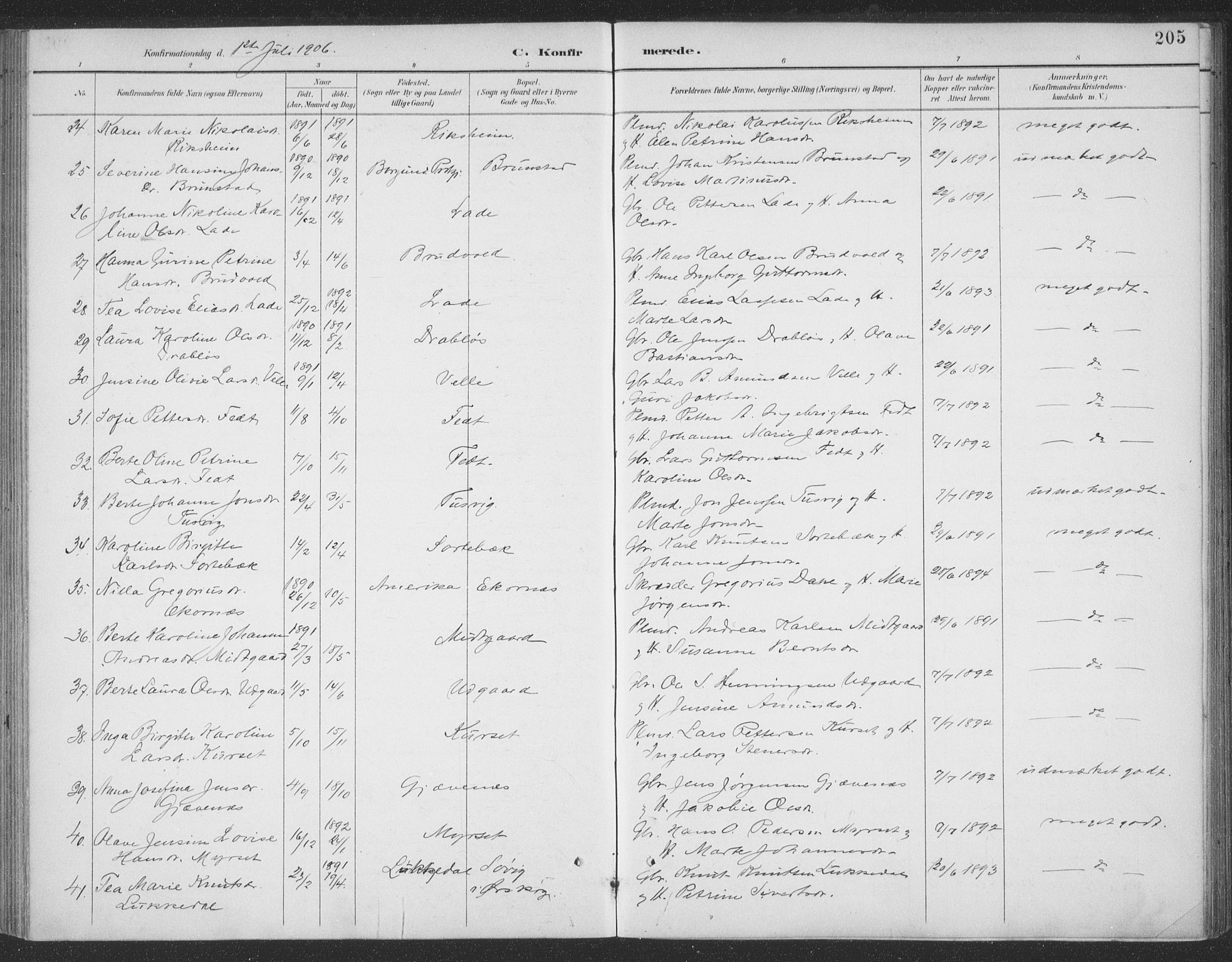 Ministerialprotokoller, klokkerbøker og fødselsregistre - Møre og Romsdal, AV/SAT-A-1454/523/L0335: Parish register (official) no. 523A02, 1891-1911, p. 205