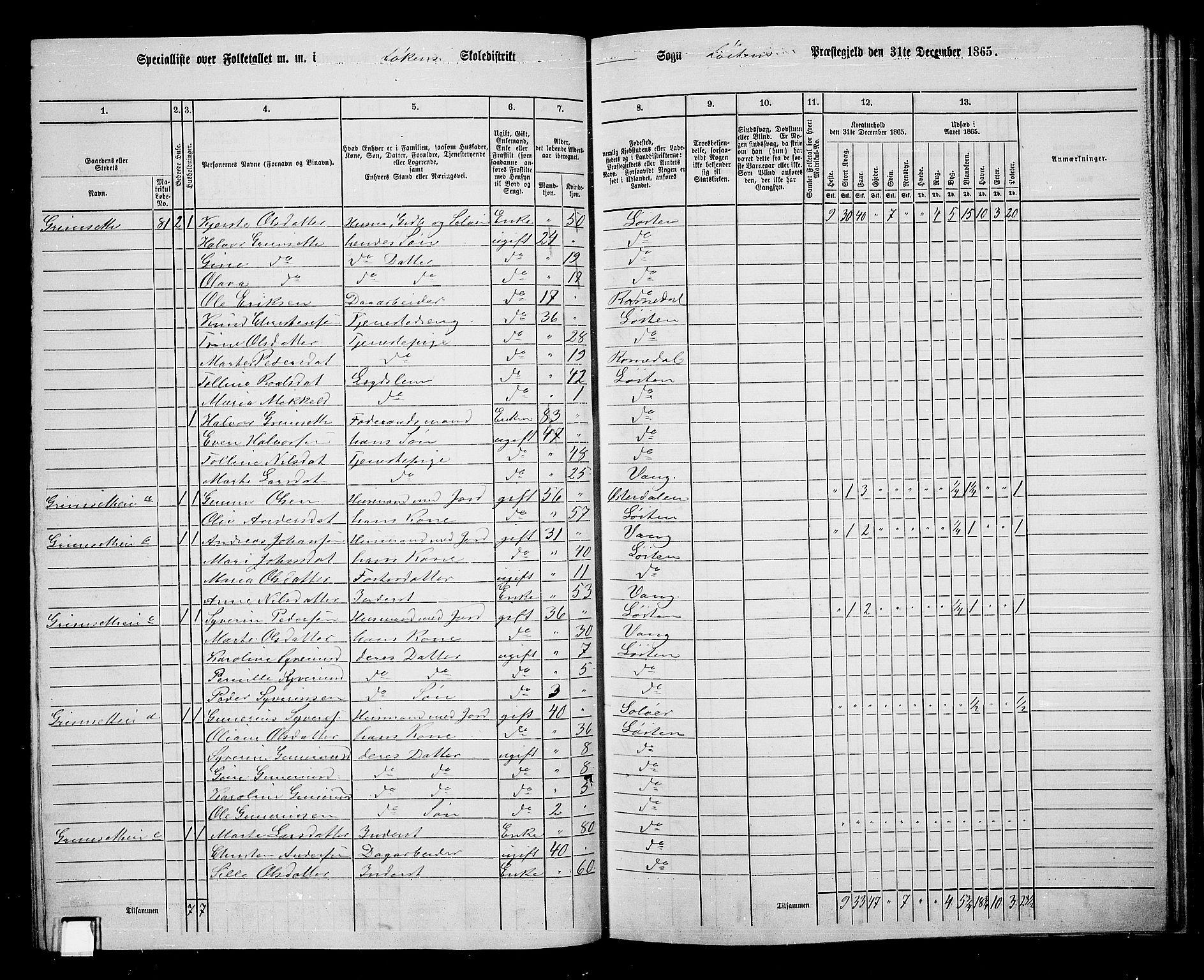 RA, 1865 census for Løten, 1865, p. 63