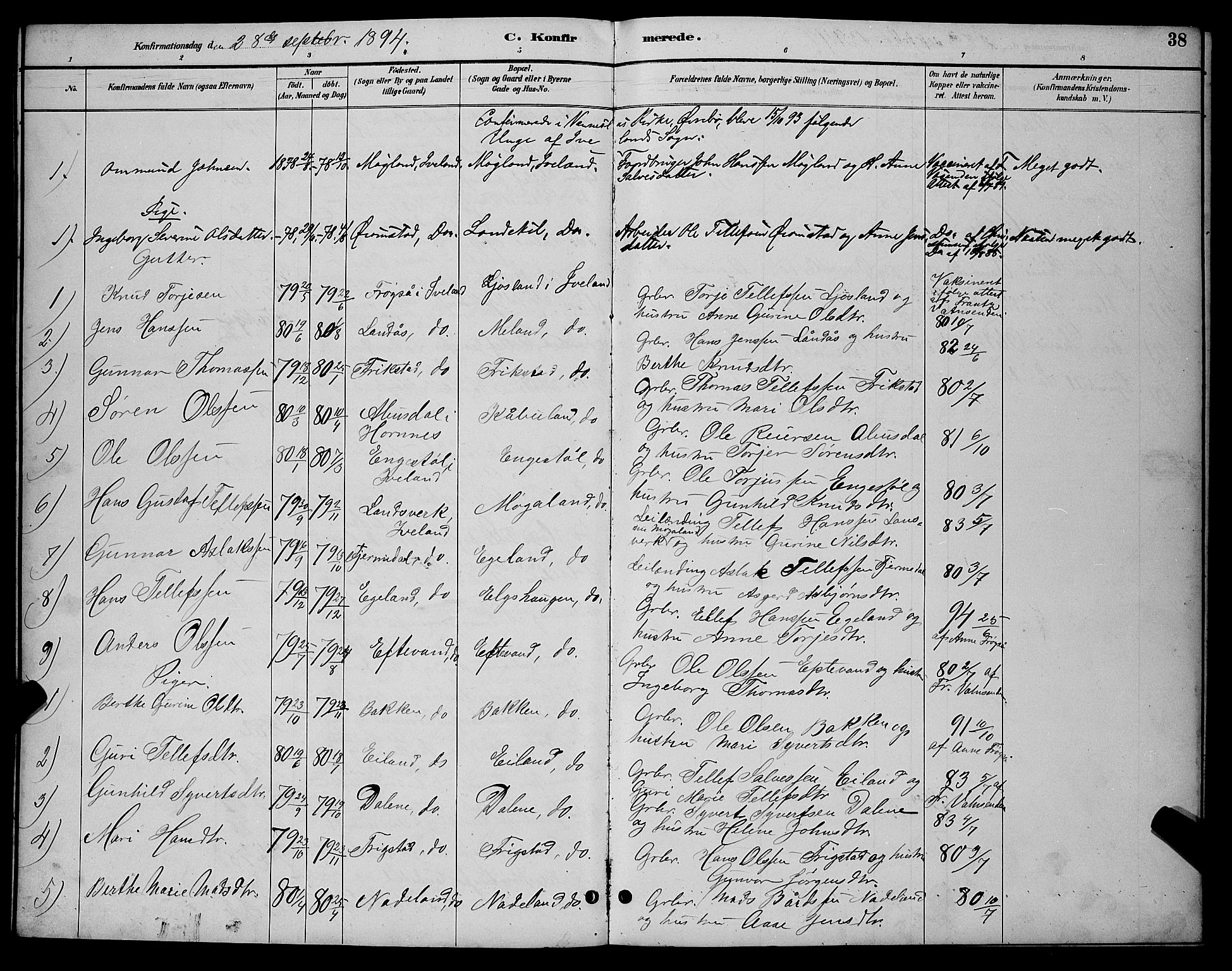 Evje sokneprestkontor, AV/SAK-1111-0008/F/Fb/Fbc/L0004: Parish register (copy) no. B 4, 1890-1900, p. 38