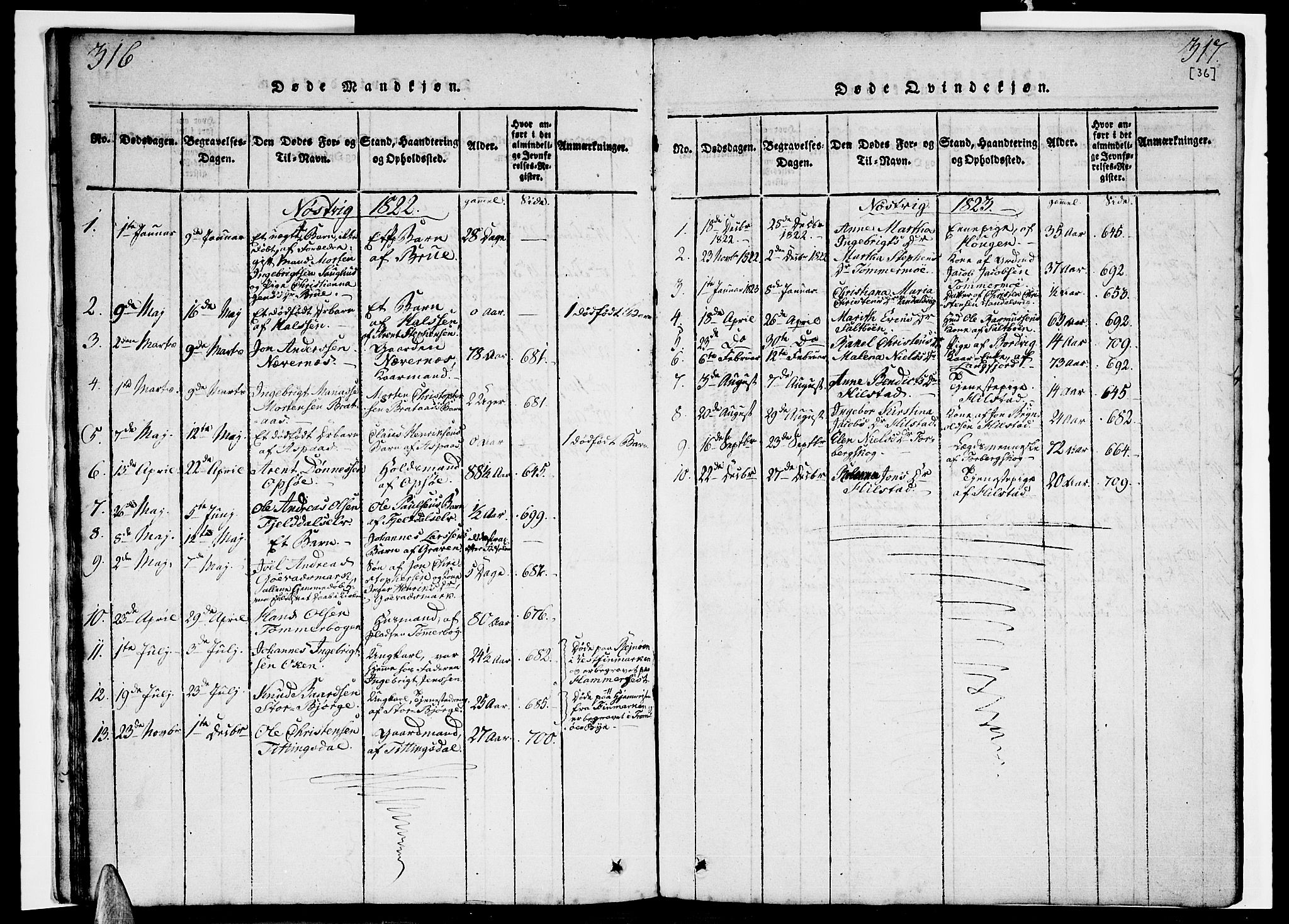 Ministerialprotokoller, klokkerbøker og fødselsregistre - Nordland, SAT/A-1459/814/L0223: Parish register (official) no. 814A04, 1820-1833, p. 316-317