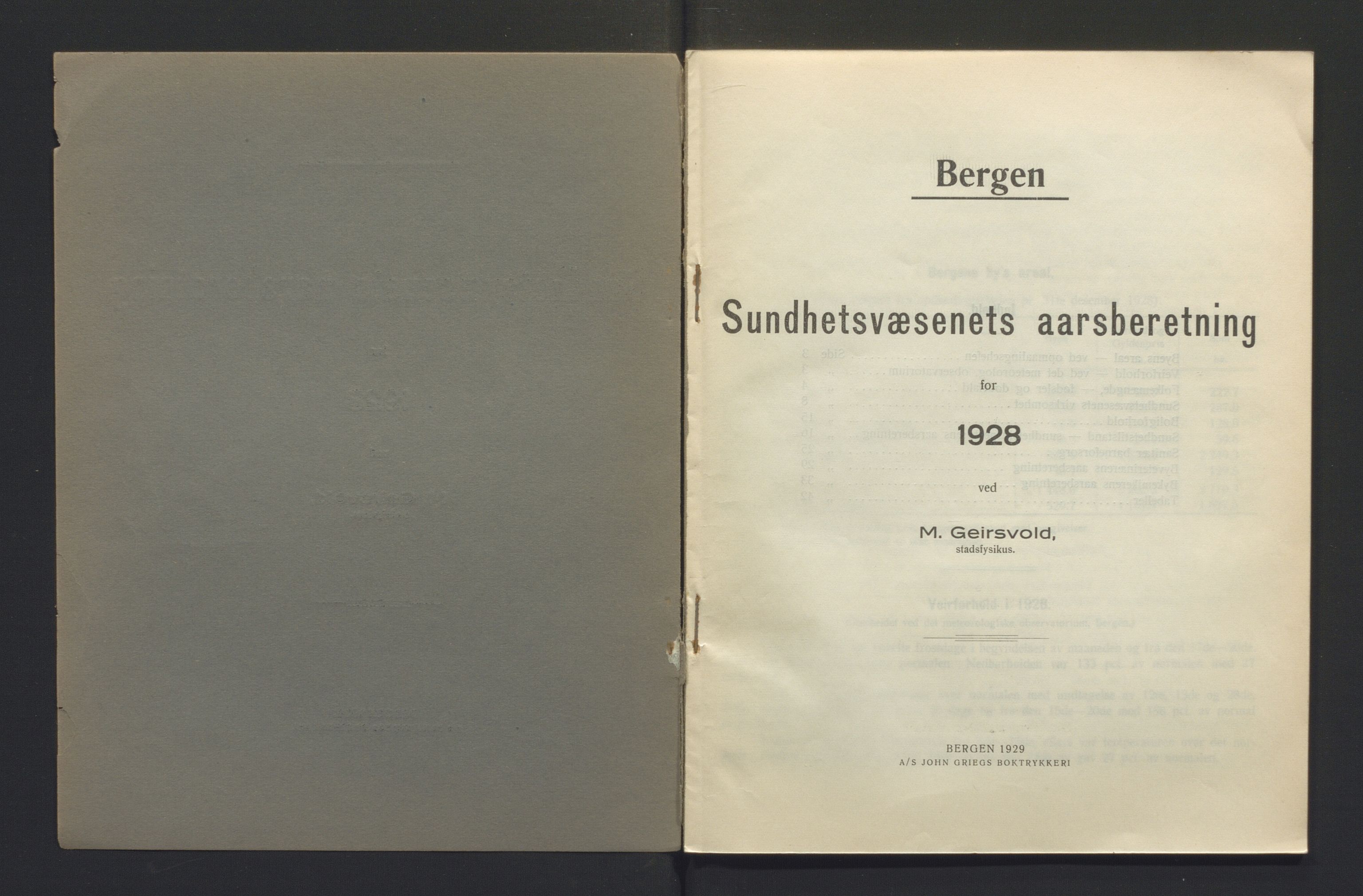 Bergen kommune, Sunnhetsvesen (Bergen helseråd), BBA/A-2617/X/Xa/L0021: Årsmelding, 1928