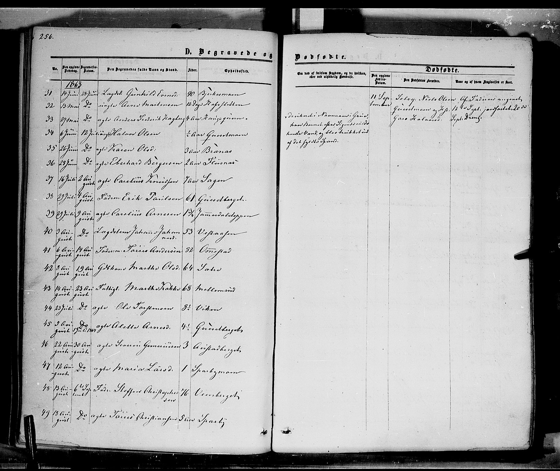 Hof prestekontor, AV/SAH-PREST-038/H/Ha/Haa/L0009: Parish register (official) no. 9, 1862-1877, p. 256