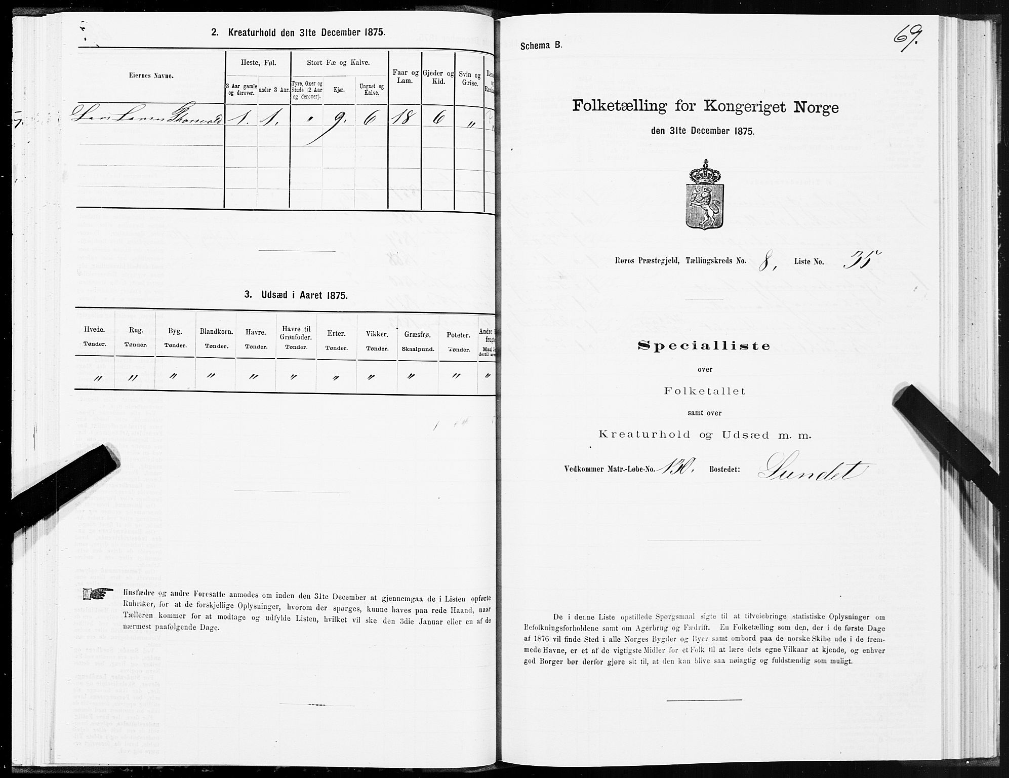 SAT, 1875 census for 1640P Røros, 1875, p. 5069