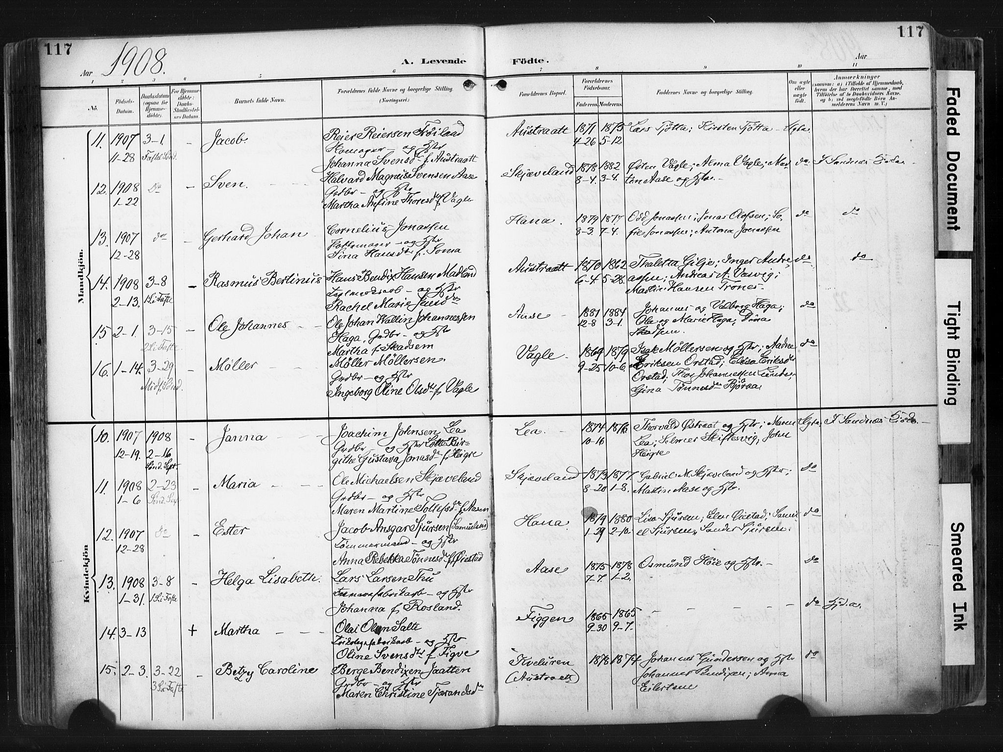 Høyland sokneprestkontor, SAST/A-101799/001/30BA/L0015: Parish register (official) no. A 14, 1899-1911, p. 117