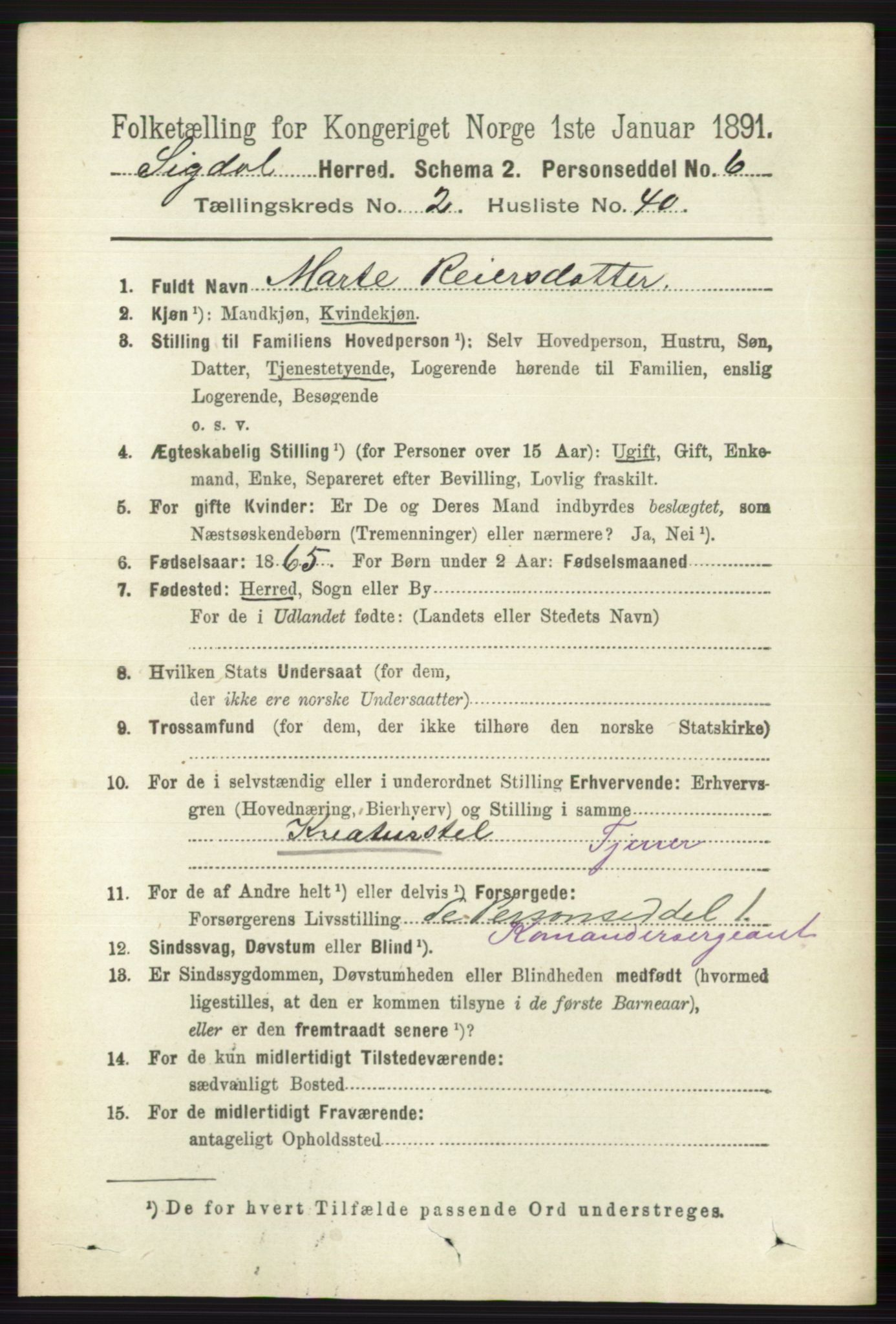 RA, 1891 census for 0621 Sigdal, 1891, p. 1176