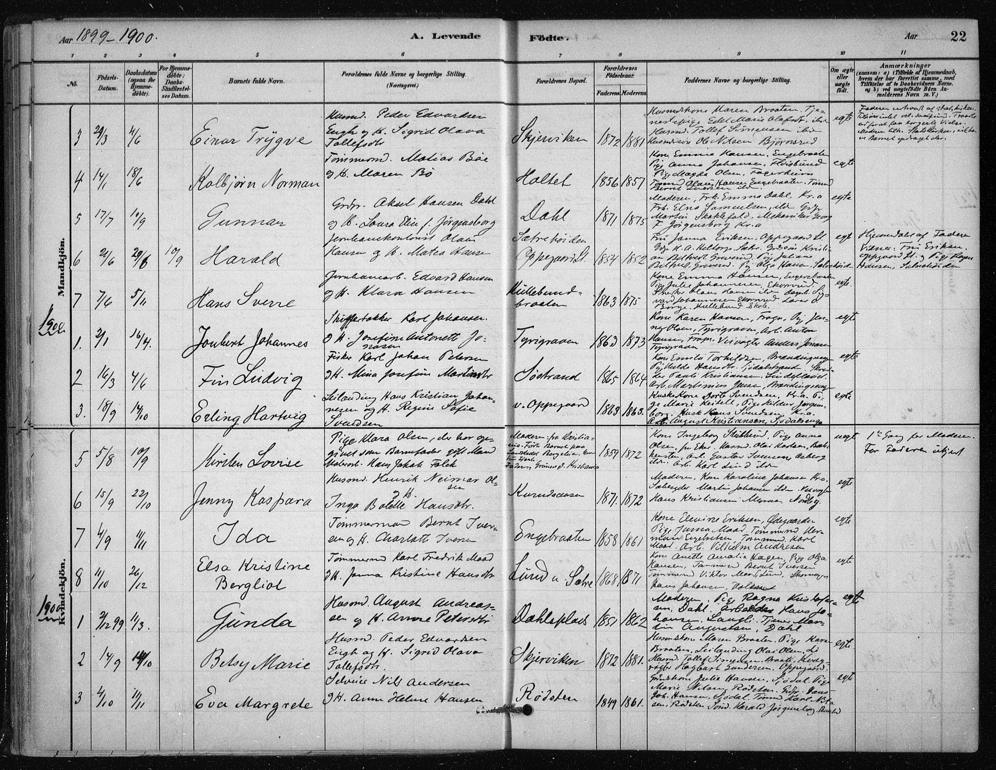 Nesodden prestekontor Kirkebøker, AV/SAO-A-10013/F/Fb/L0001: Parish register (official) no. II 1, 1880-1915, p. 22