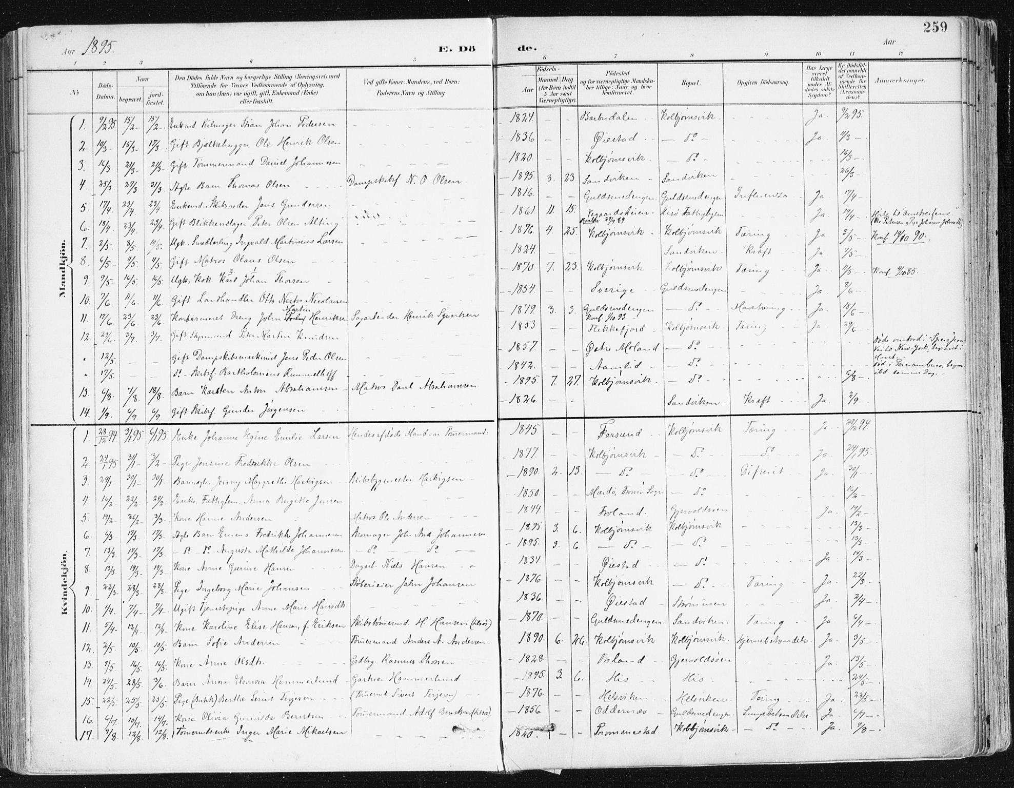 Hisøy sokneprestkontor, SAK/1111-0020/F/Fa/L0004: Parish register (official) no. A 4, 1895-1917, p. 259
