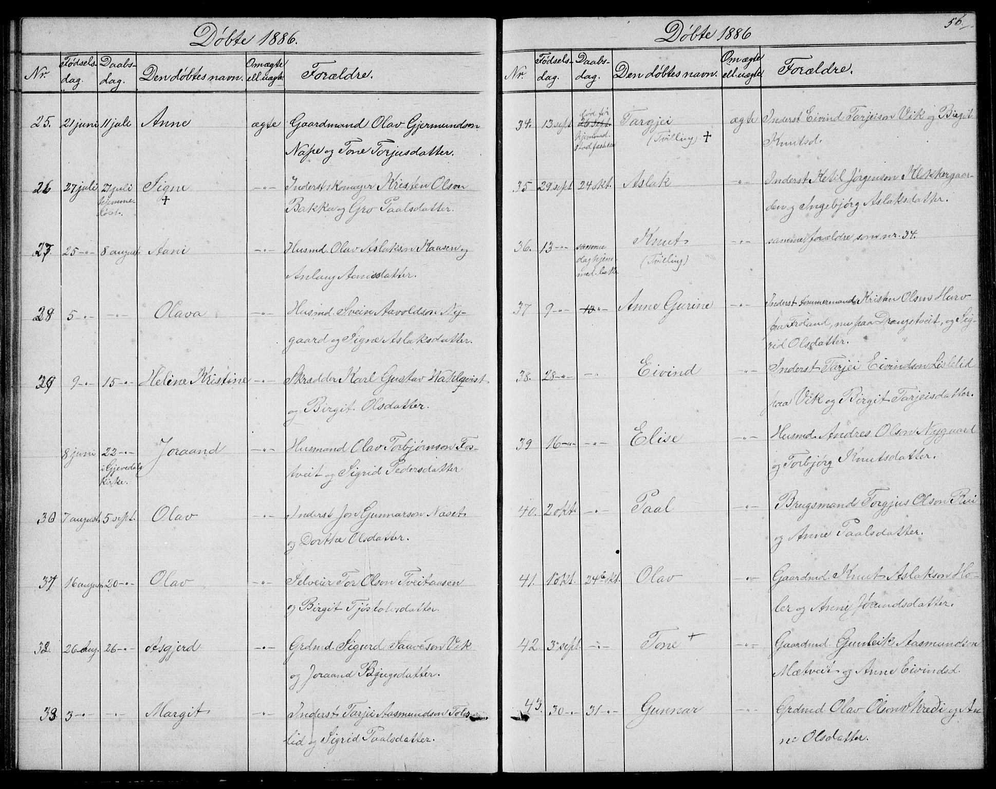 Fyresdal kirkebøker, SAKO/A-263/G/Ga/L0004: Parish register (copy) no. I 4, 1864-1892, p. 56