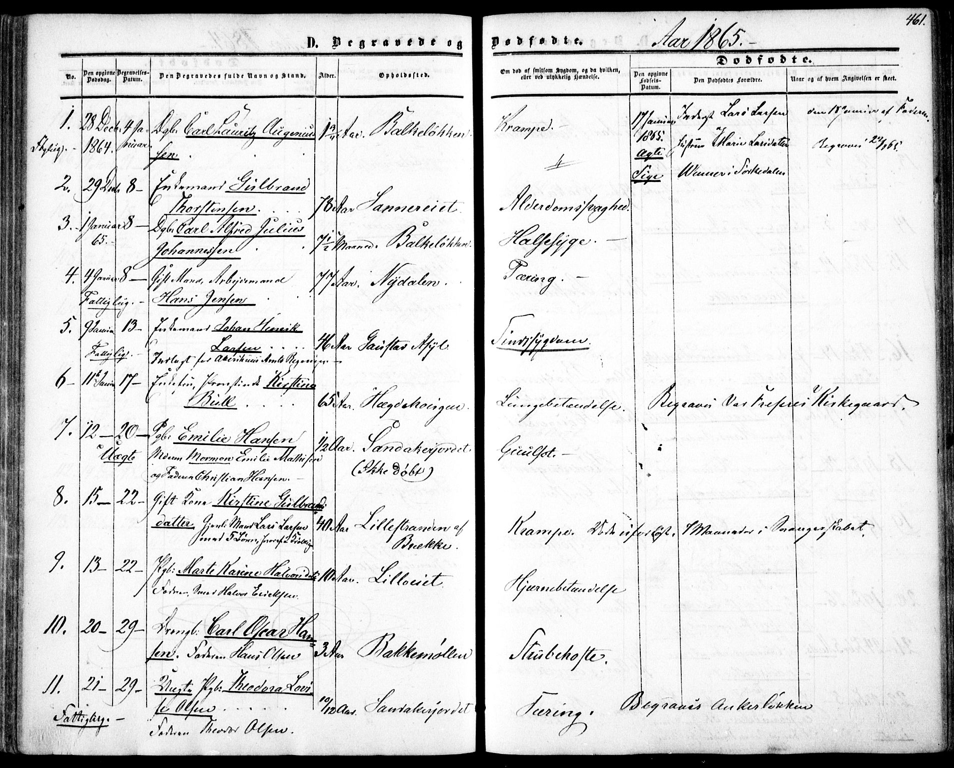 Vestre Aker prestekontor Kirkebøker, SAO/A-10025/F/Fa/L0002: Parish register (official) no. 2, 1855-1877, p. 461