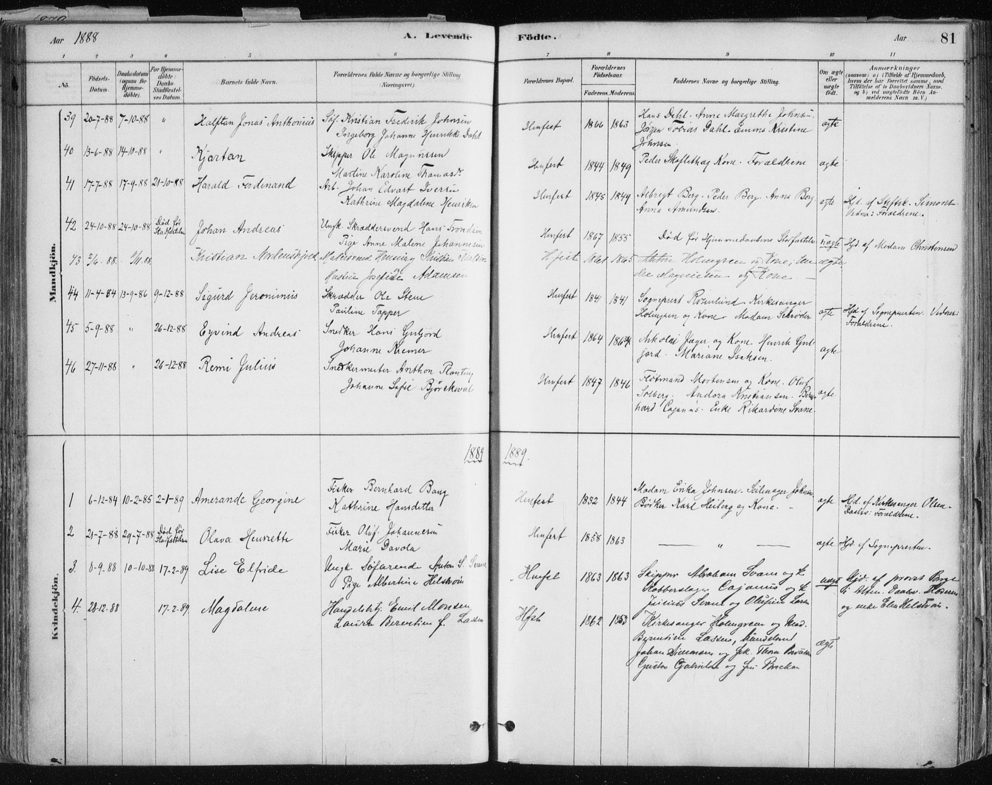 Hammerfest sokneprestkontor, AV/SATØ-S-1347/H/Ha/L0008.kirke: Parish register (official) no. 8, 1878-1889, p. 81