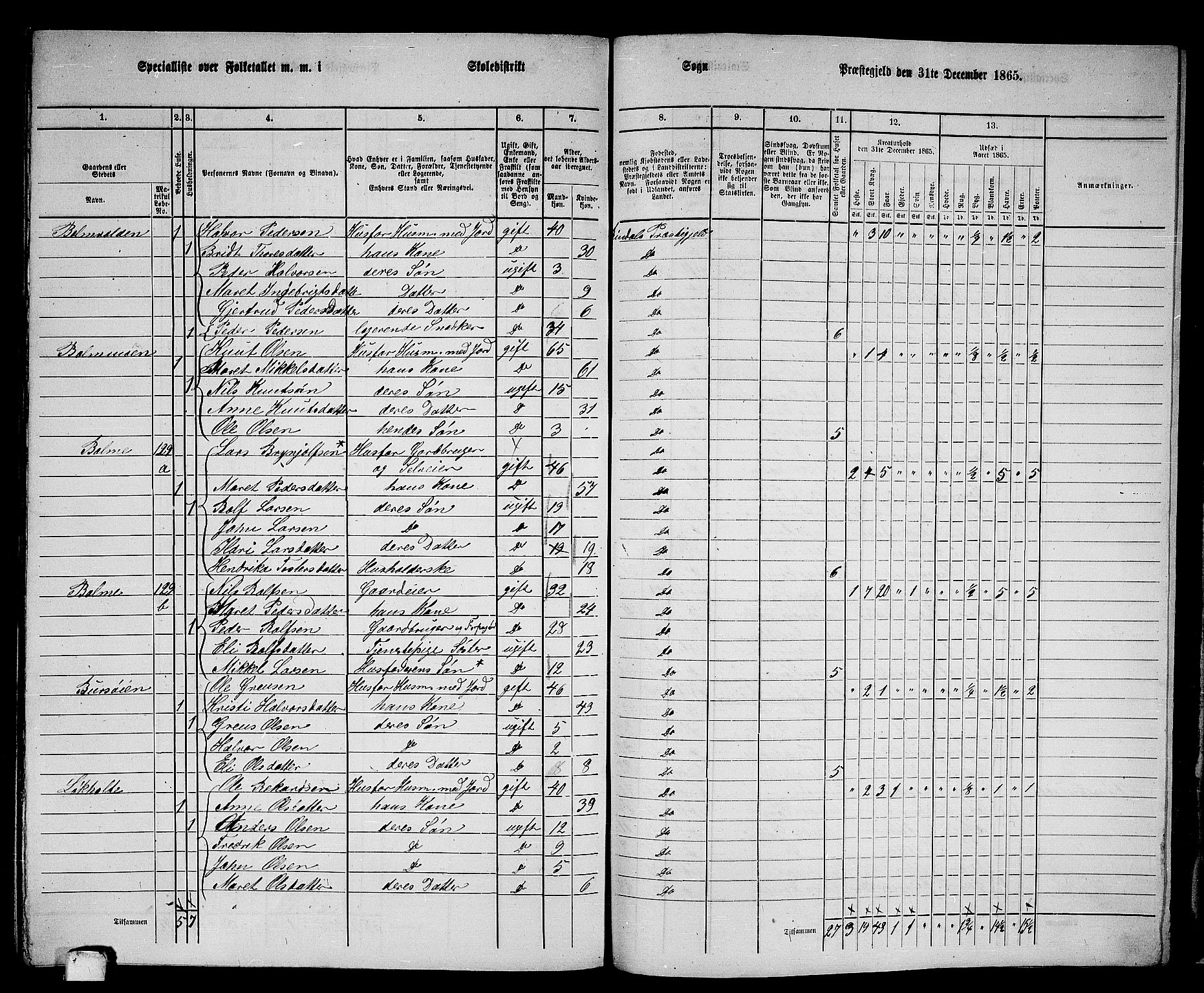 RA, 1865 census for Rindal, 1865, p. 99