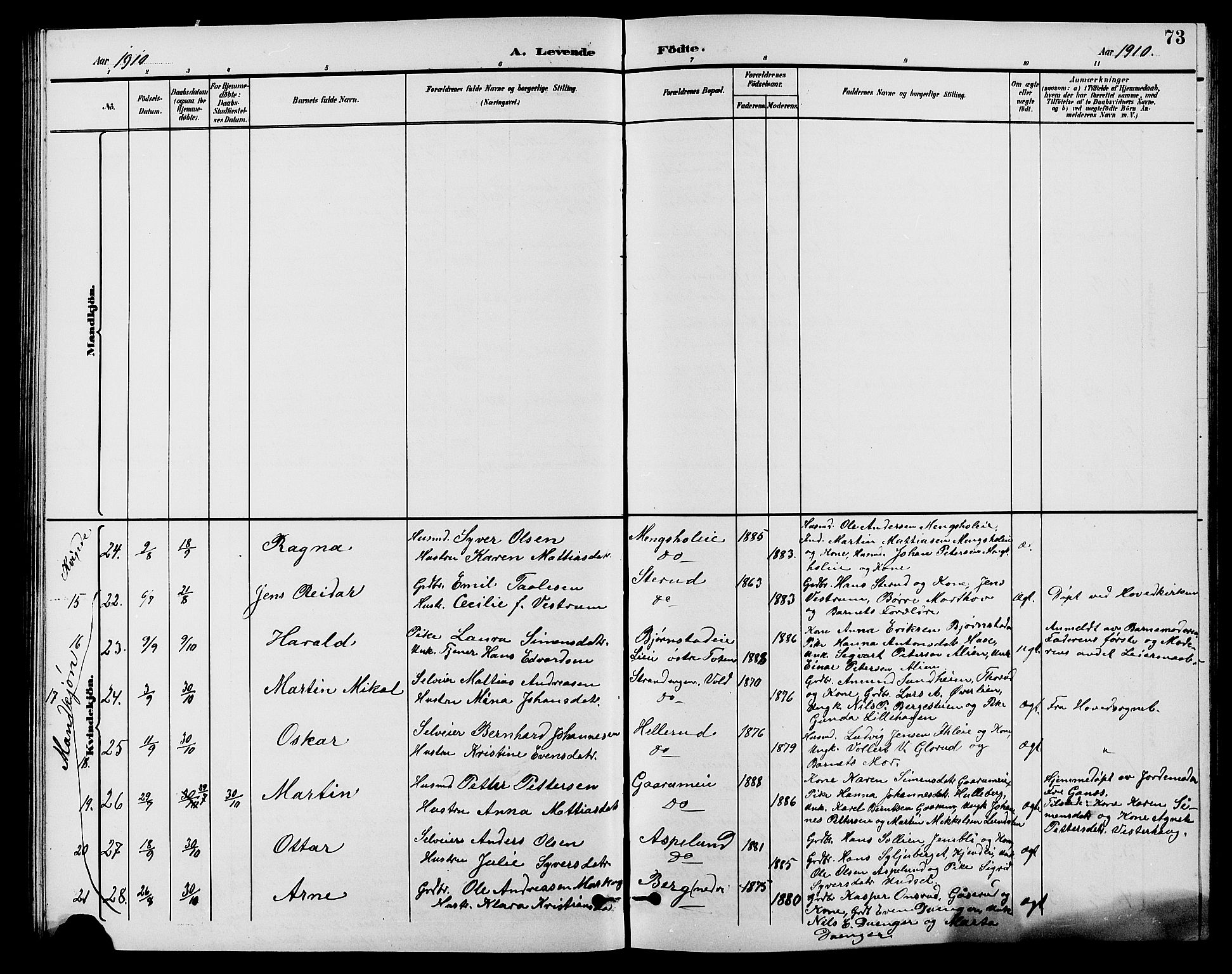 Nes prestekontor, Hedmark, AV/SAH-PREST-020/L/La/L0007: Parish register (copy) no. 7, 1892-1912, p. 73