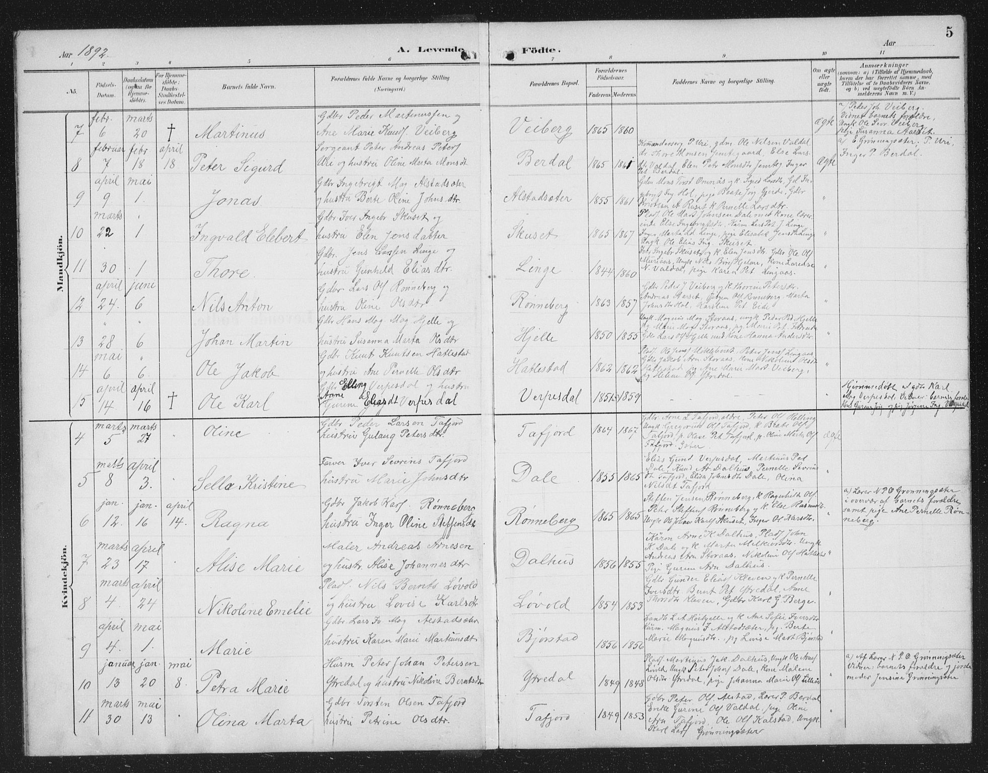 Ministerialprotokoller, klokkerbøker og fødselsregistre - Møre og Romsdal, AV/SAT-A-1454/519/L0264: Parish register (copy) no. 519C05, 1892-1910, p. 5