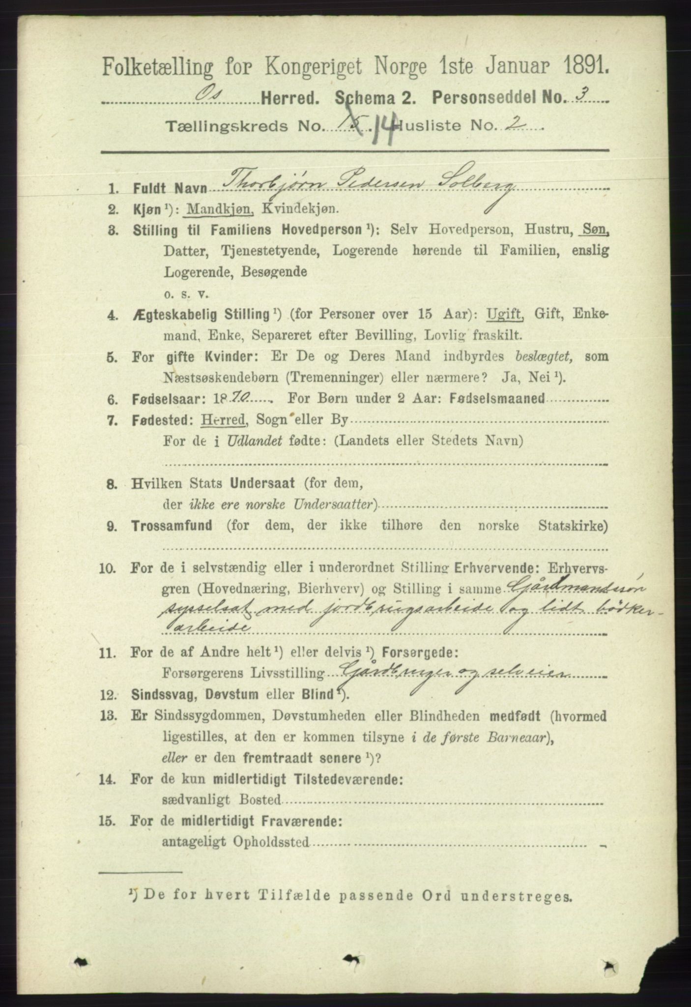 RA, 1891 census for 1243 Os, 1891, p. 3097