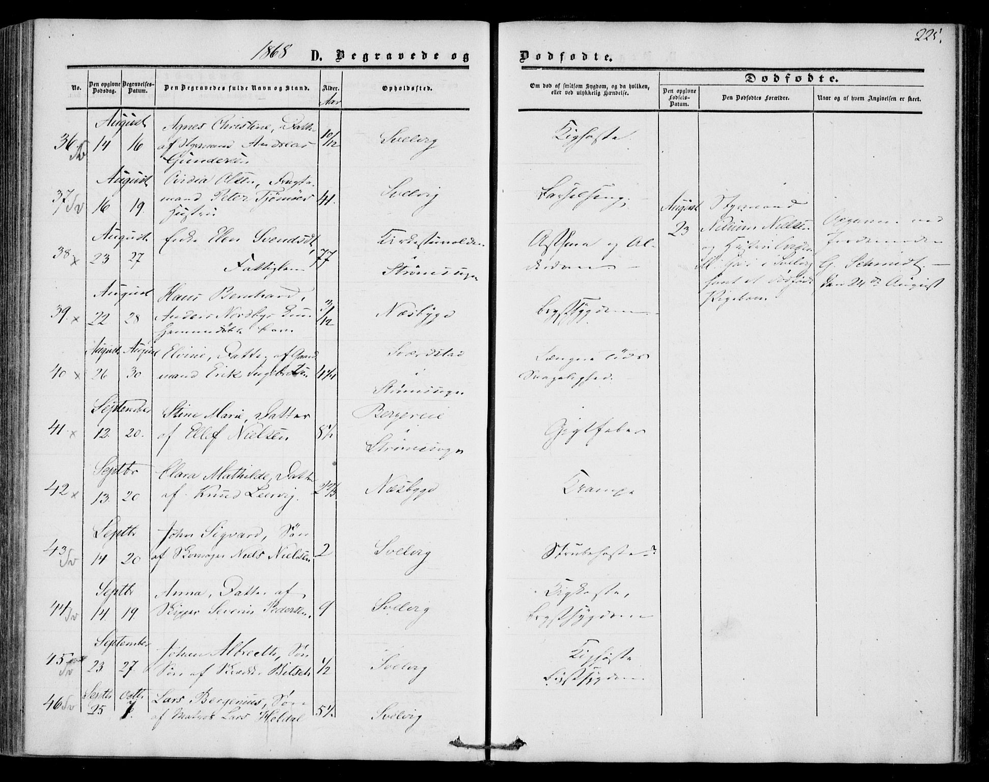 Strømm kirkebøker, AV/SAKO-A-322/F/Fa/L0001: Parish register (official) no. I 1, 1861-1869, p. 225