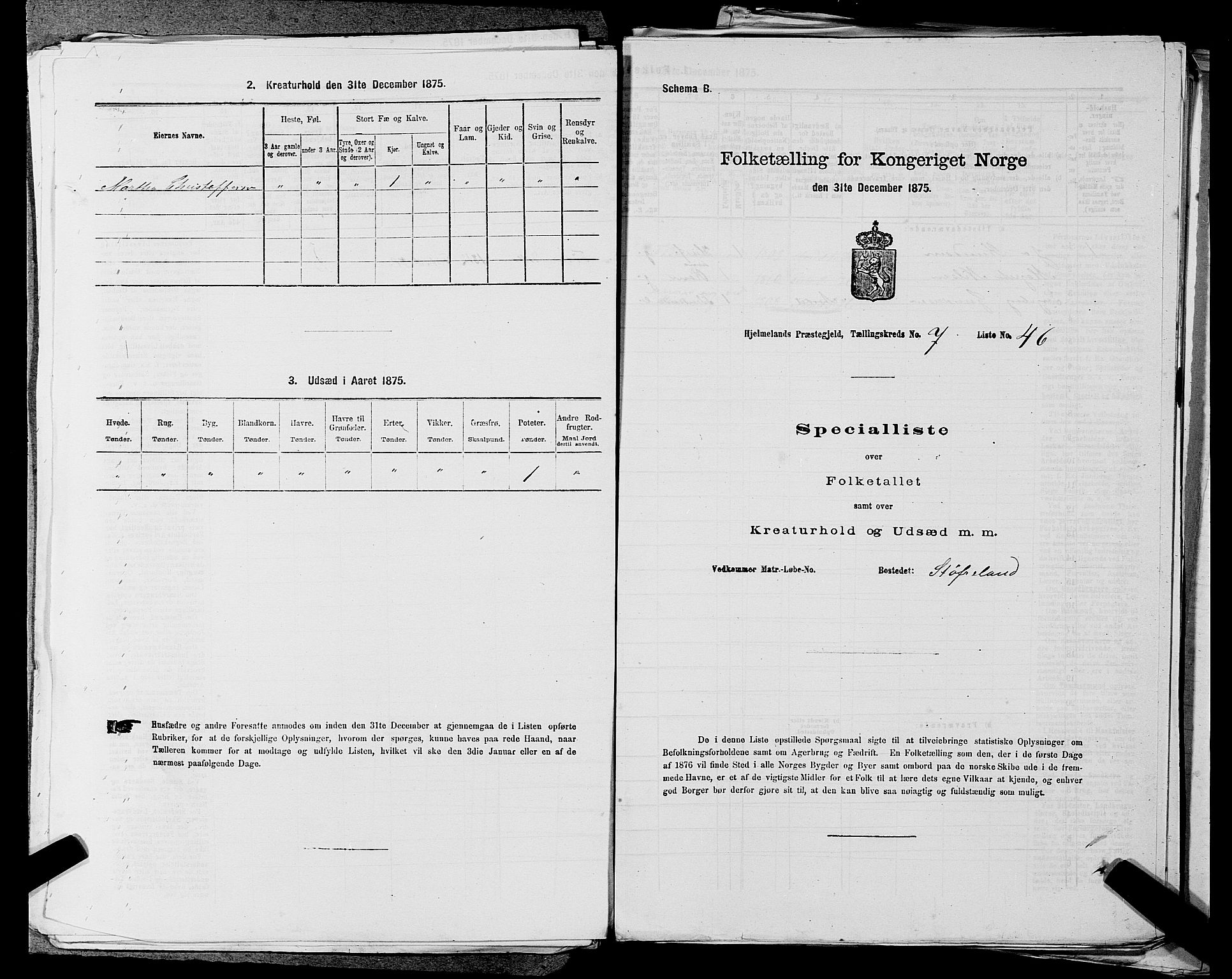 SAST, 1875 census for 1133P Hjelmeland, 1875, p. 994