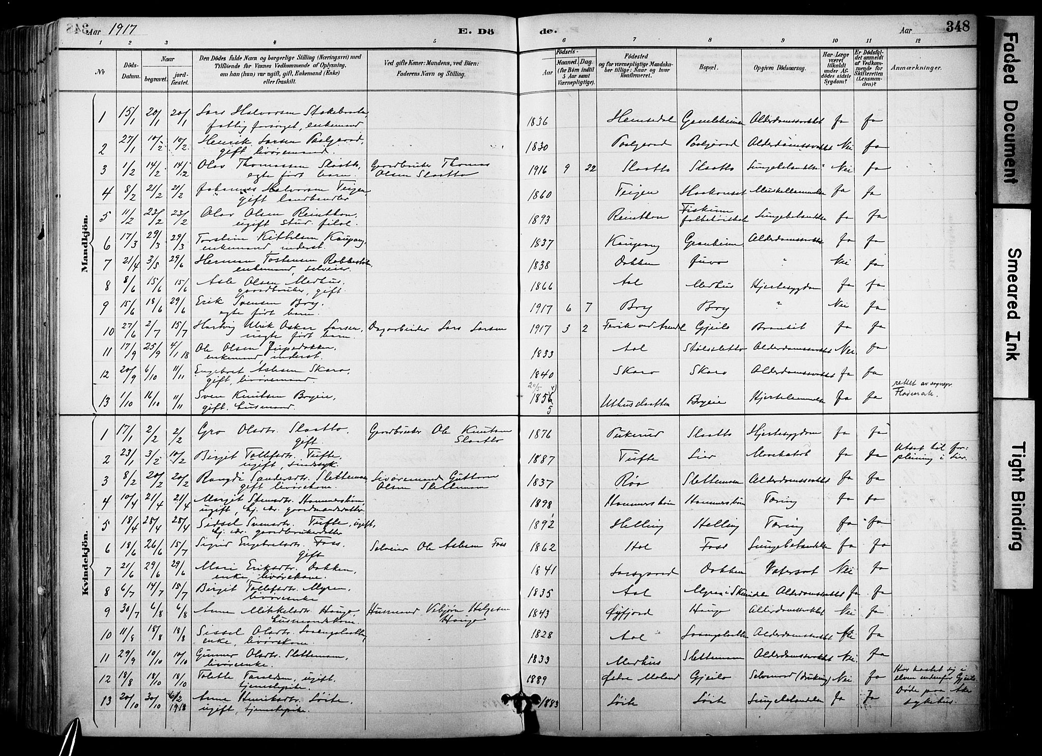 Hol kirkebøker, AV/SAKO-A-227/F/Fa/L0003: Parish register (official) no. I 3, 1887-1918, p. 348