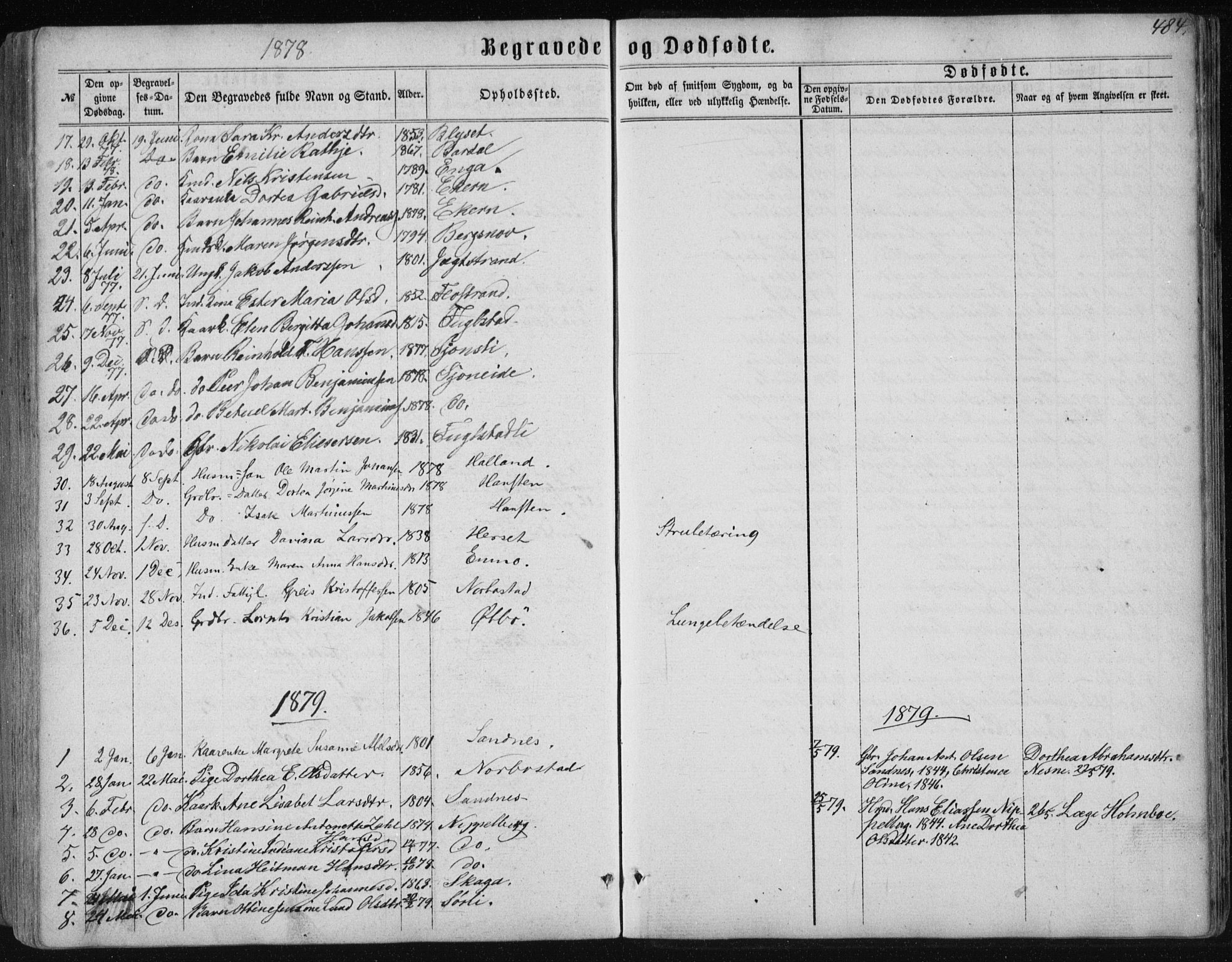 Ministerialprotokoller, klokkerbøker og fødselsregistre - Nordland, AV/SAT-A-1459/838/L0556: Parish register (copy) no. 838C03, 1861-1893, p. 484