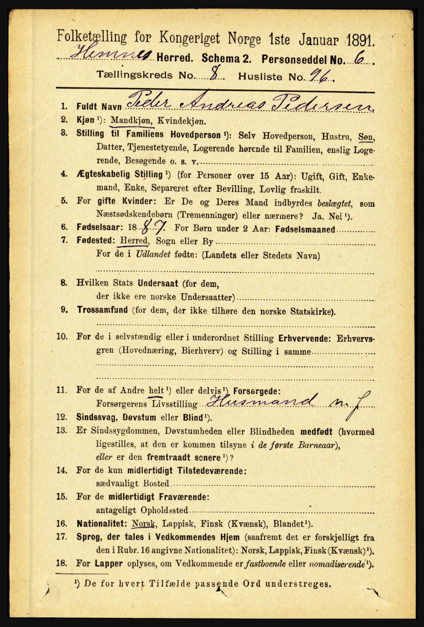 RA, 1891 census for 1832 Hemnes, 1891, p. 4238