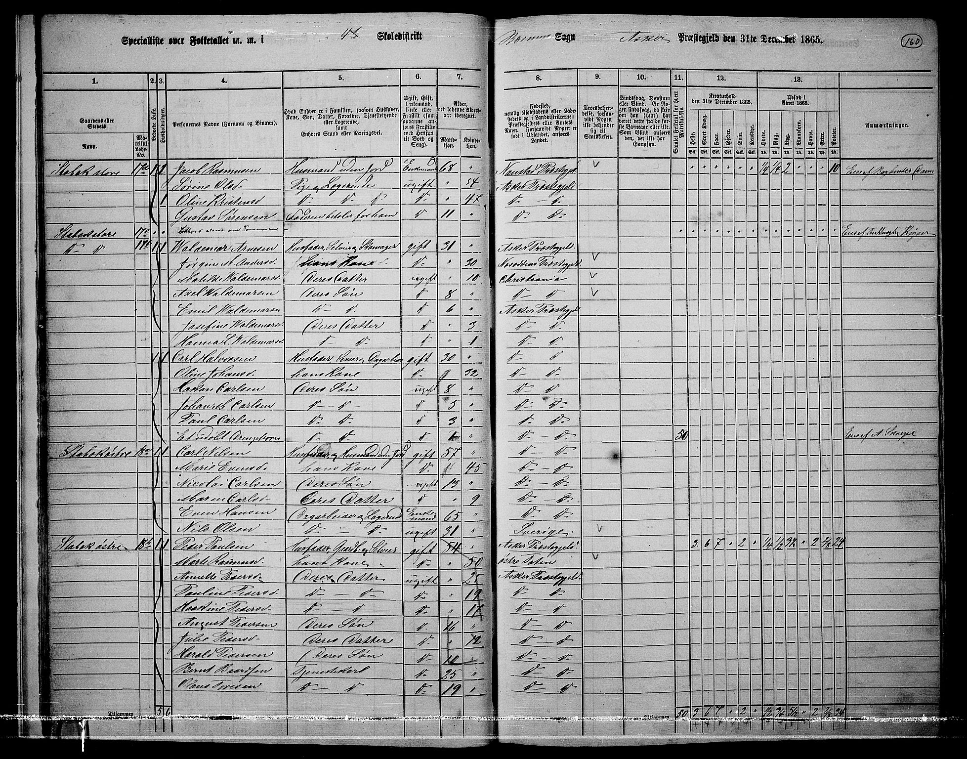 RA, 1865 census for Asker, 1865, p. 157