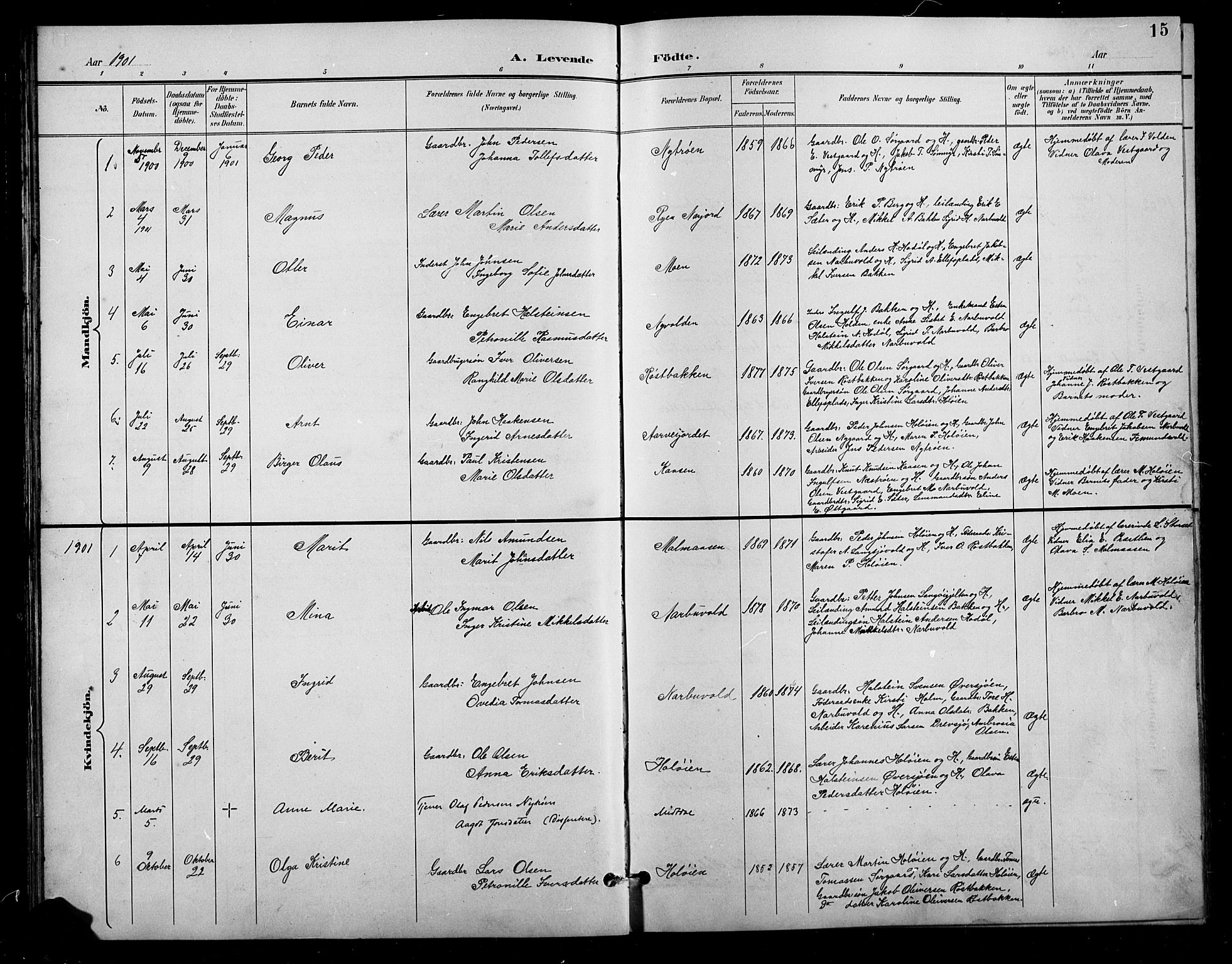 Tolga prestekontor, AV/SAH-PREST-062/L/L0011: Parish register (copy) no. 11, 1894-1925, p. 15