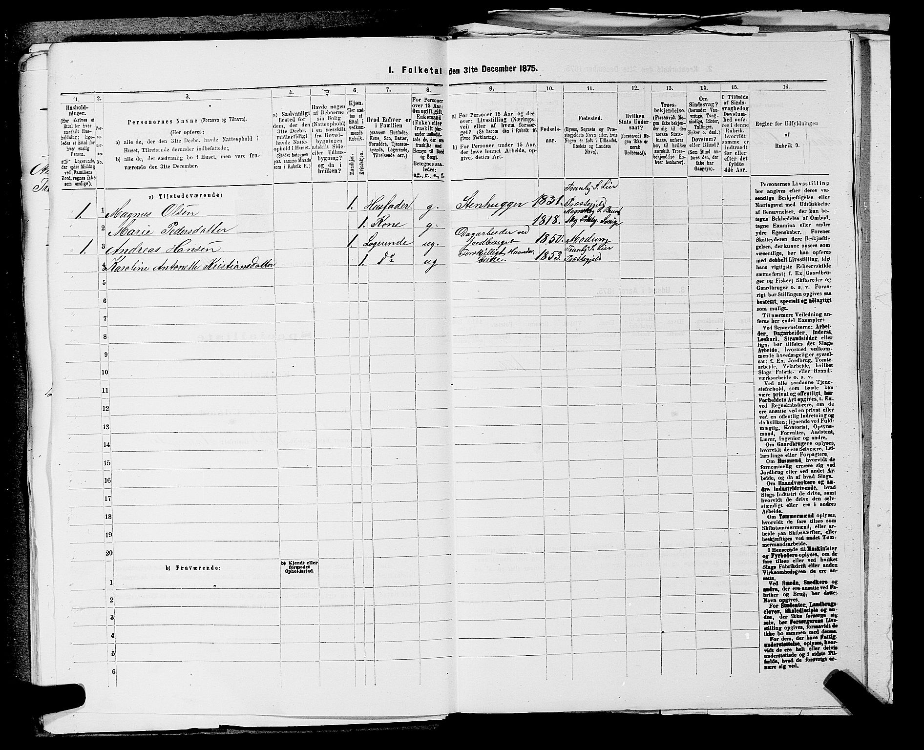 SAKO, 1875 census for 0626P Lier, 1875, p. 1773